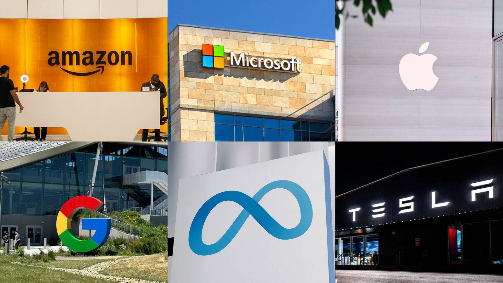 Amazon, Microsoft, Apple, Google, Meta, Tesla.