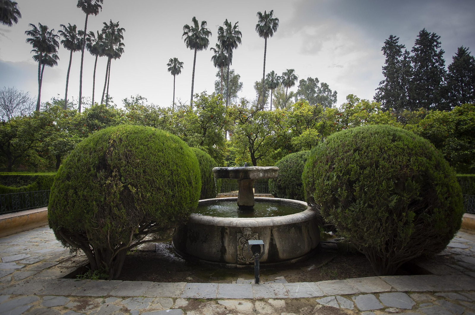 Coronavirus: Un paseo por los Reales Alcázares de Sevilla
