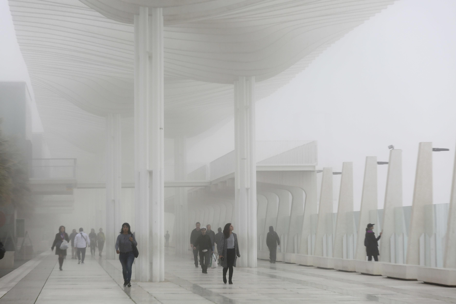 El banco de niebla cubre la ciudad de Málaga El banco de niebla cubre la ciudad de Málaga