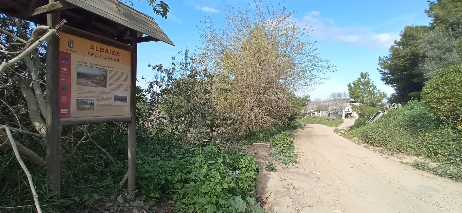 Las imágenes de la ruta de la dehesa de Albaida del Aljarafe