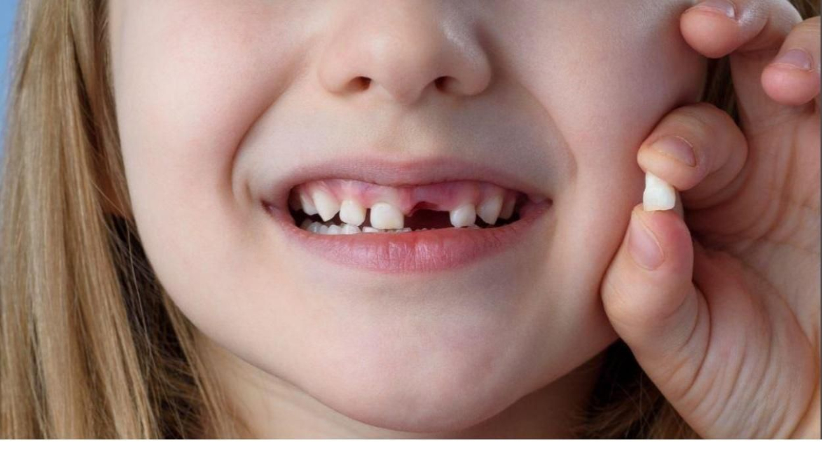 Los dientes de leche tienen mucha información para los estudios de evolución humana