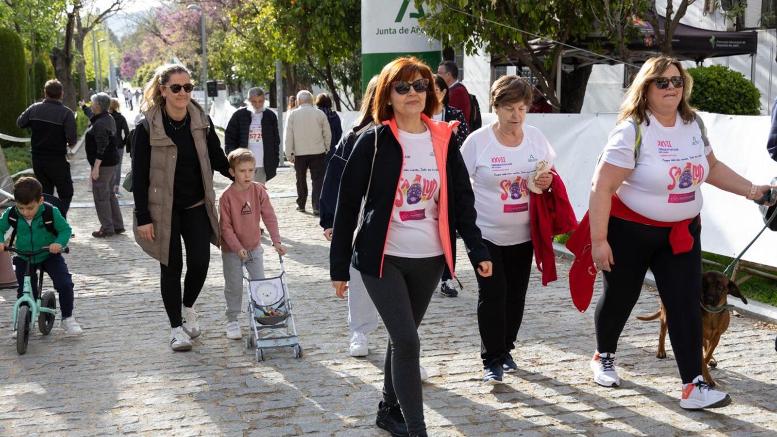 Más de 2.100 participantes corren para promover la salud en Jaén, en imágenes (1)