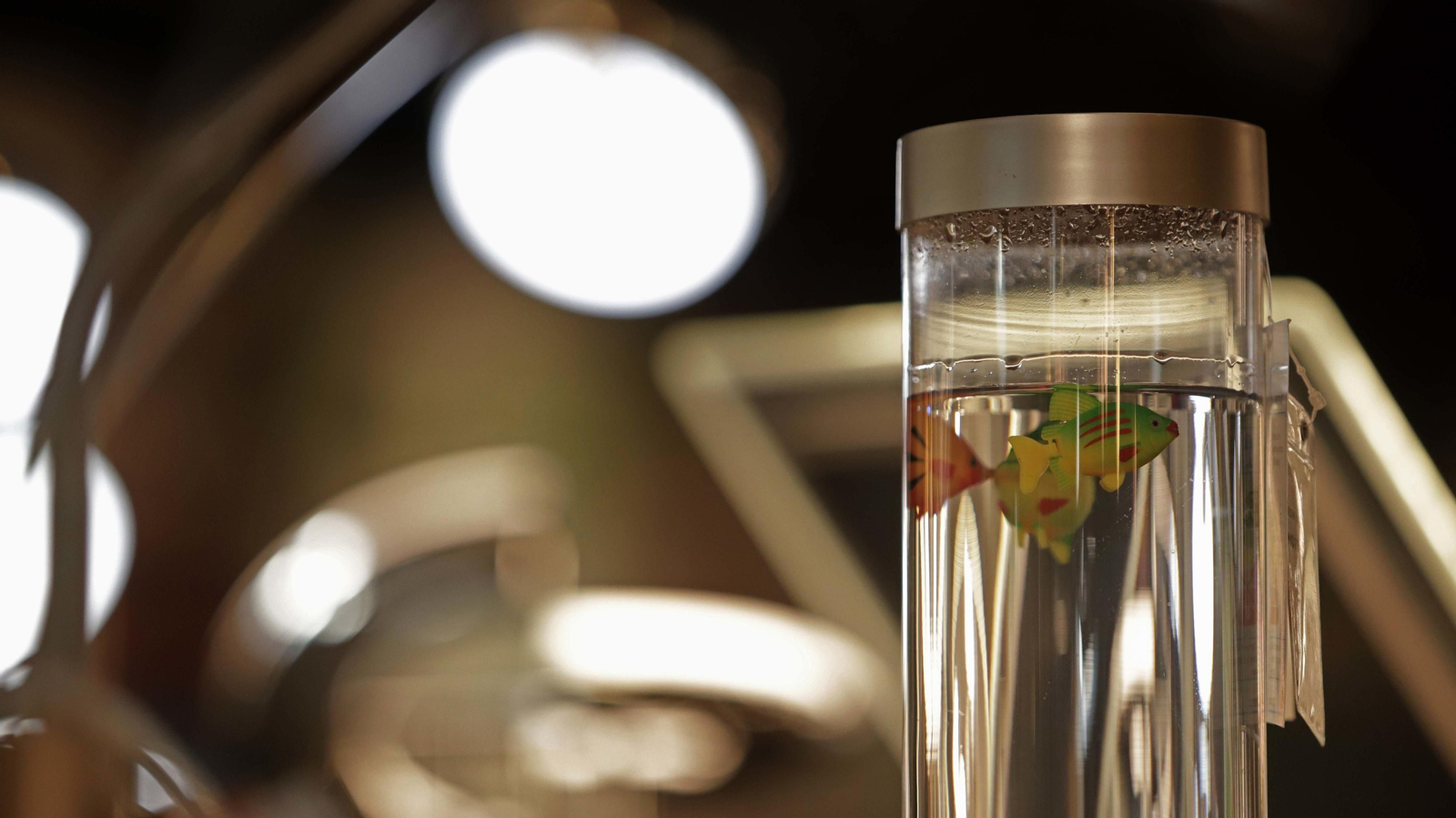 Conforama abre en Los Barrios