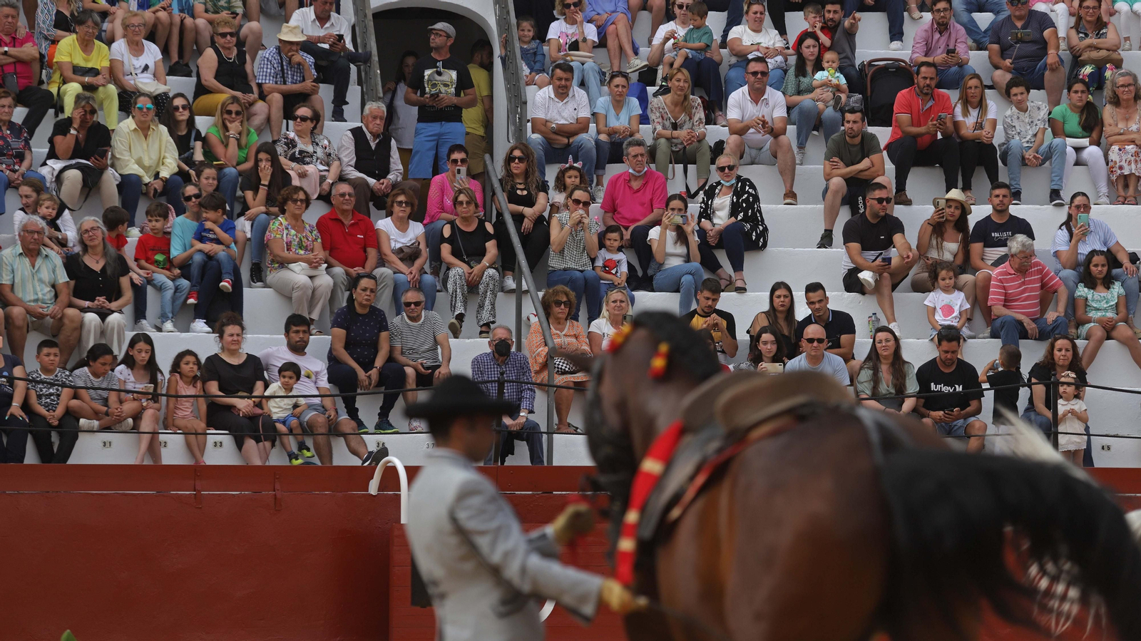 Fotos del espectáculo 'Cómo bailan los caballos andaluces' en San Roque