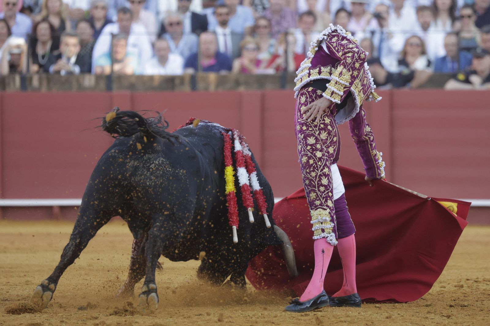 Las imágenes del festejo