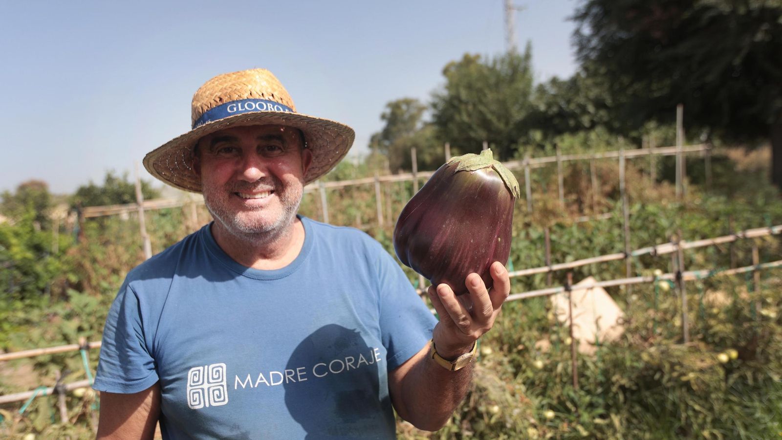 Uno de los voluntarios, mostrando una berenjena de gran tamaño.
