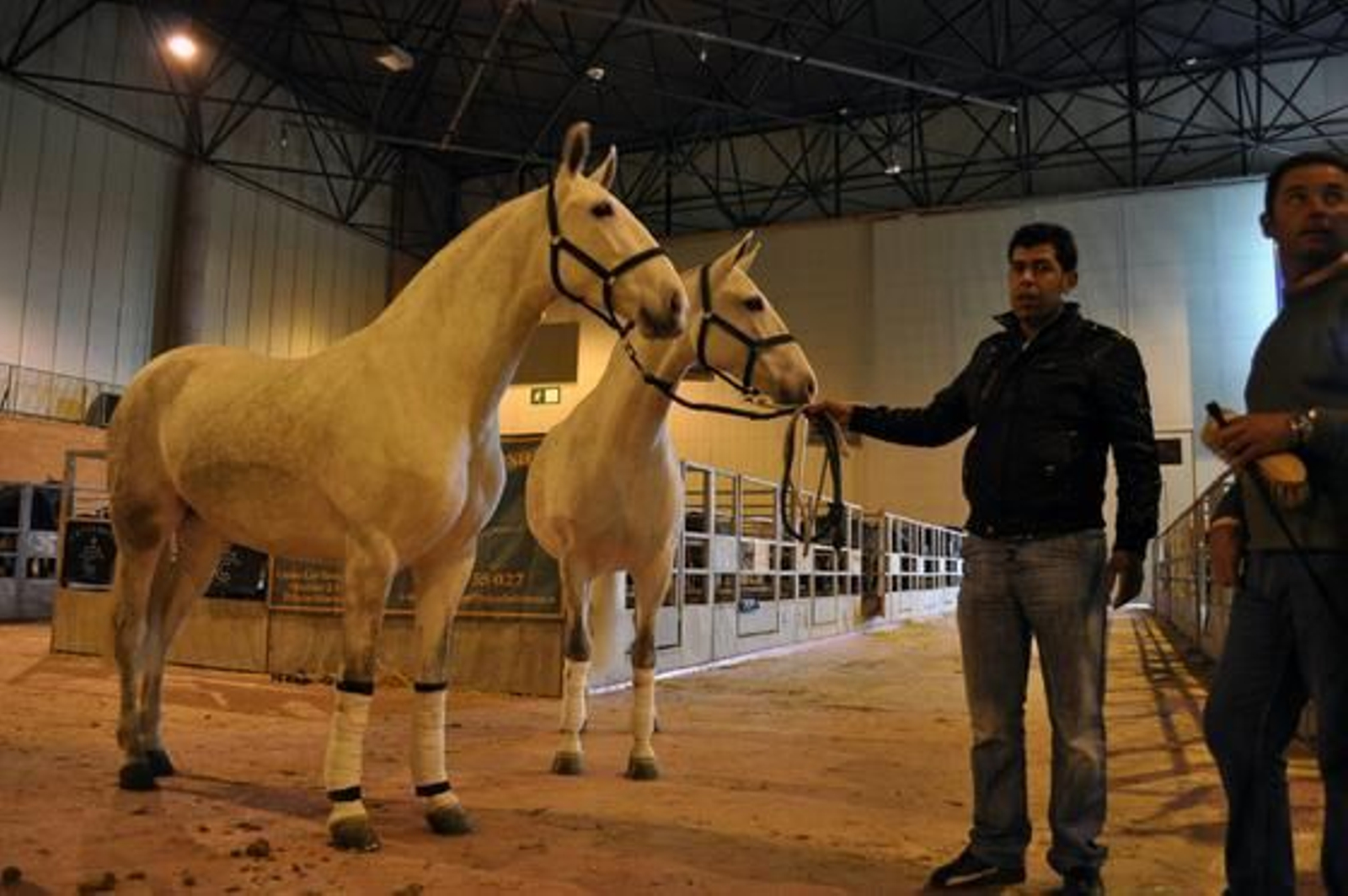 Preparativos y ensayo general del Sicab en Fibes. /Manuel Gómez