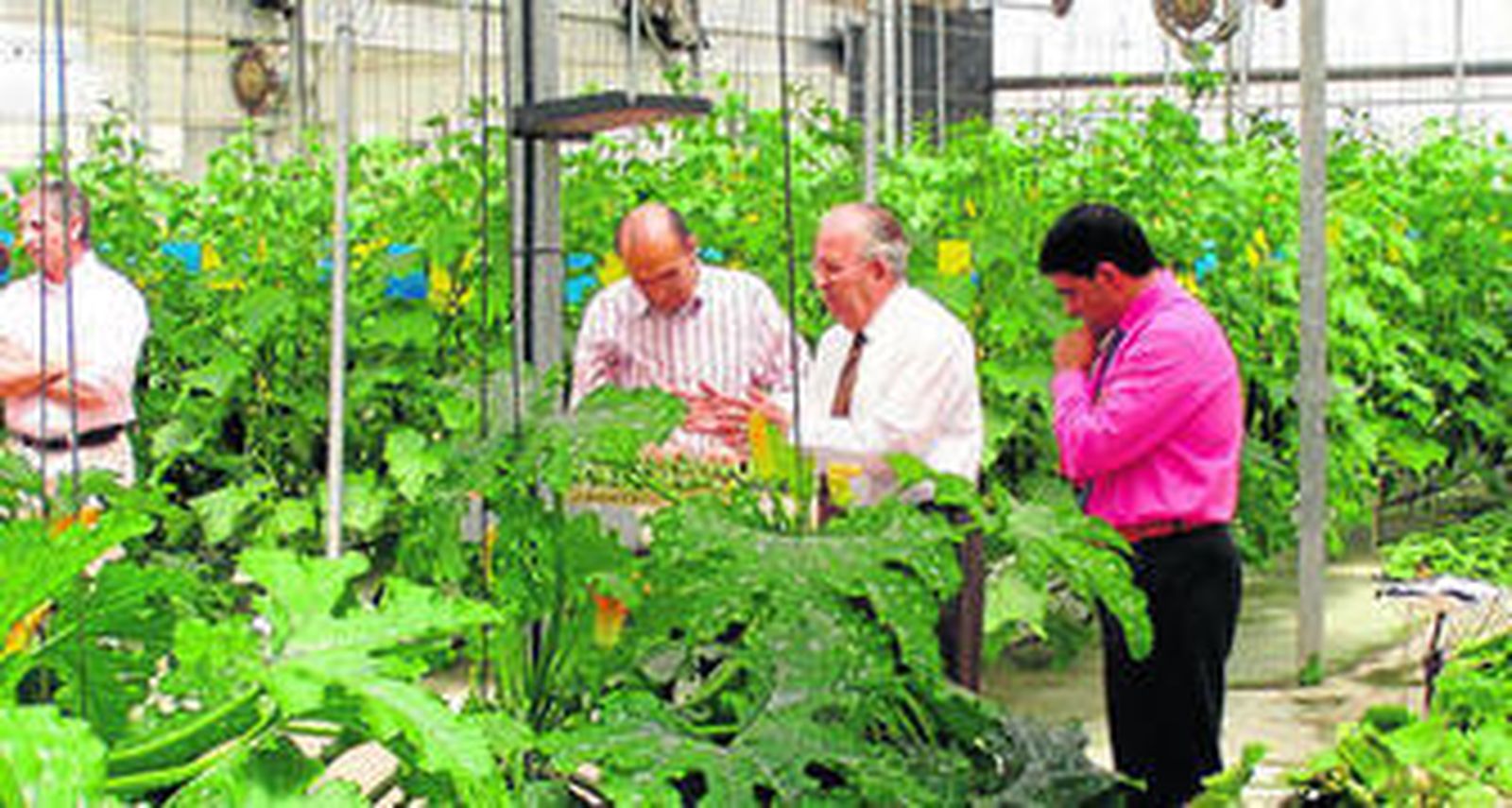 Primaflor, pionera en Almería en IV y V Gama, participará con una conferencia de Antonio Marhuenda.