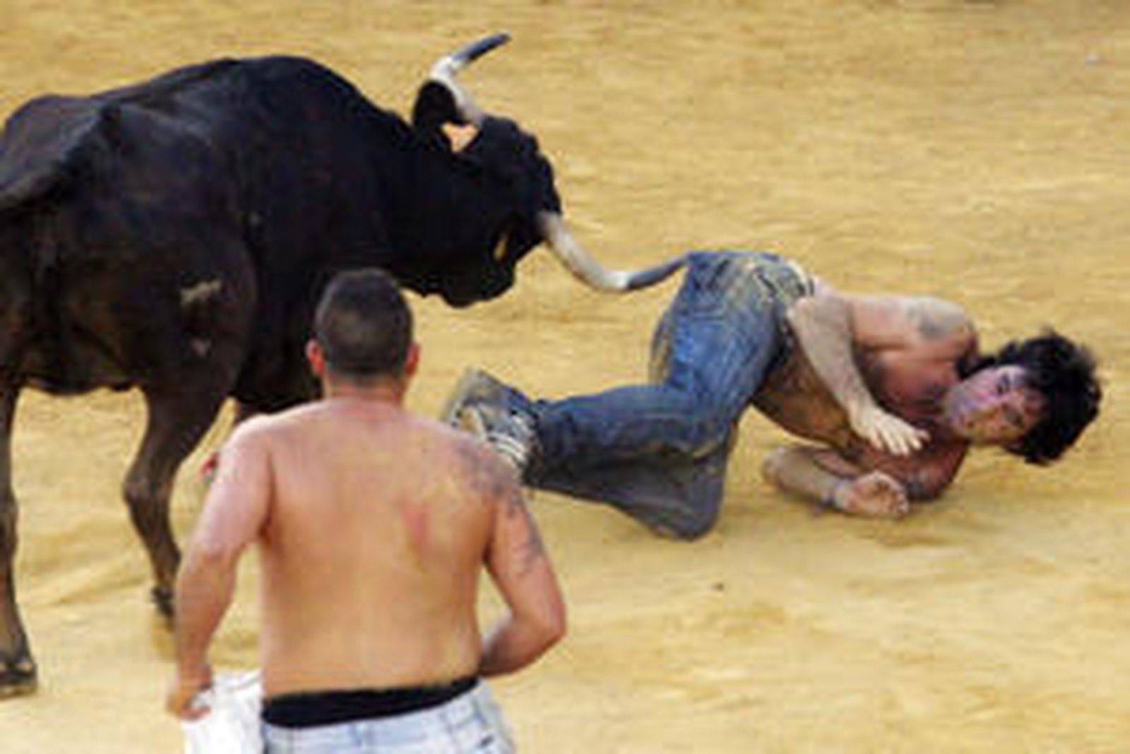 Con la suelta del llamado Toro del Aguardiente se pone el broche de oro a la feria de la localidad. No hubo que lamentar graves incidentes./Fotos:Paco Guerrero

Foto: Paco Guerrero