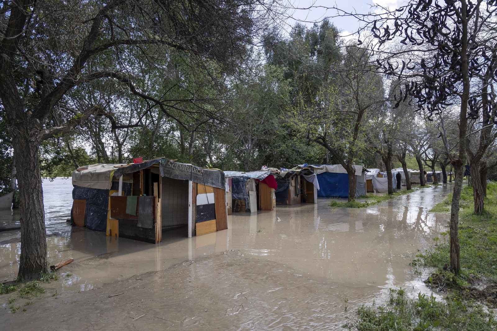 Las imágenes de la inundación del poblado chabolista junto a la orilla del Guadalquivir