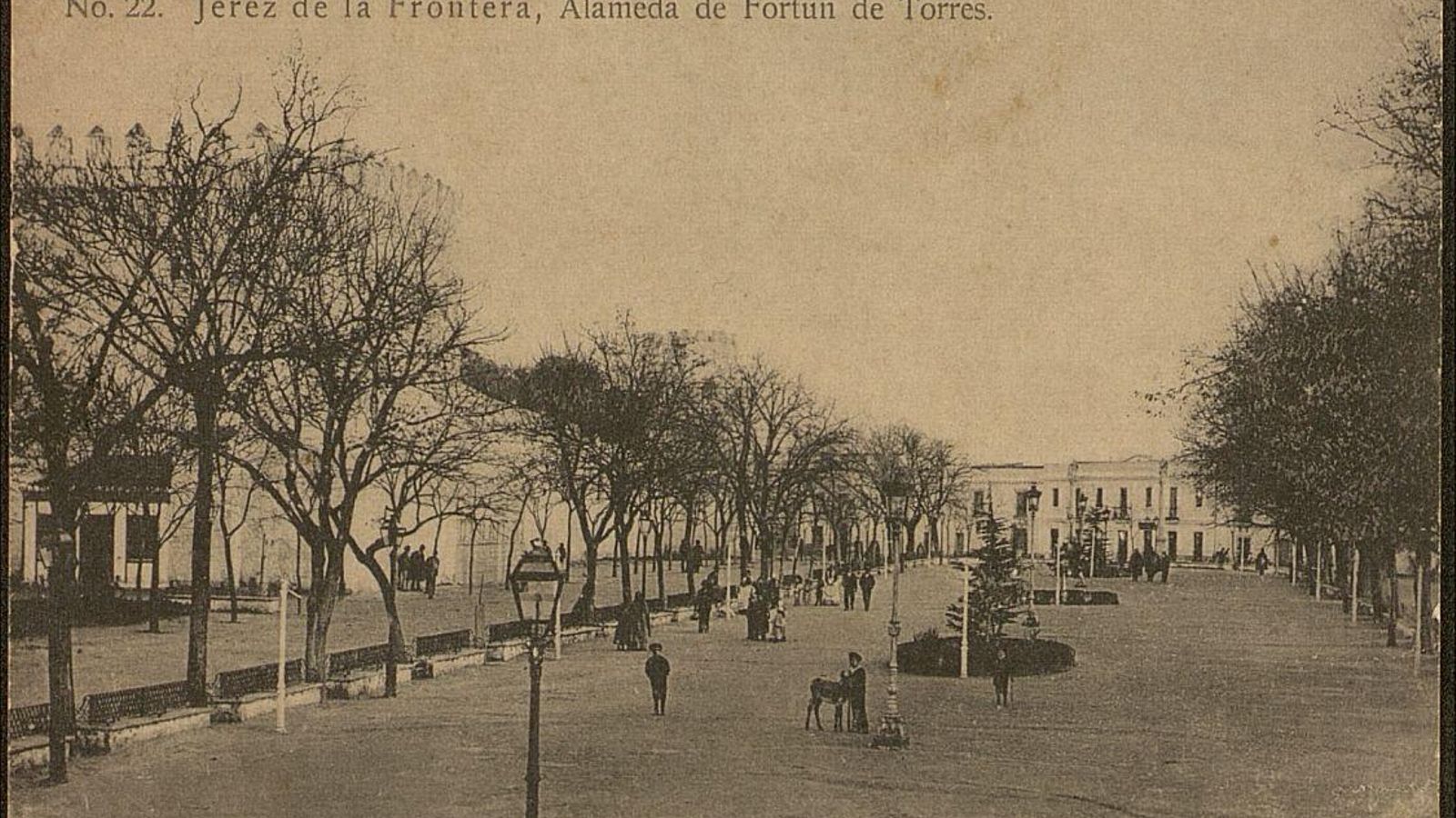 Postal de la Alameda de Fortún de Torres, actual Alameda Vieja.