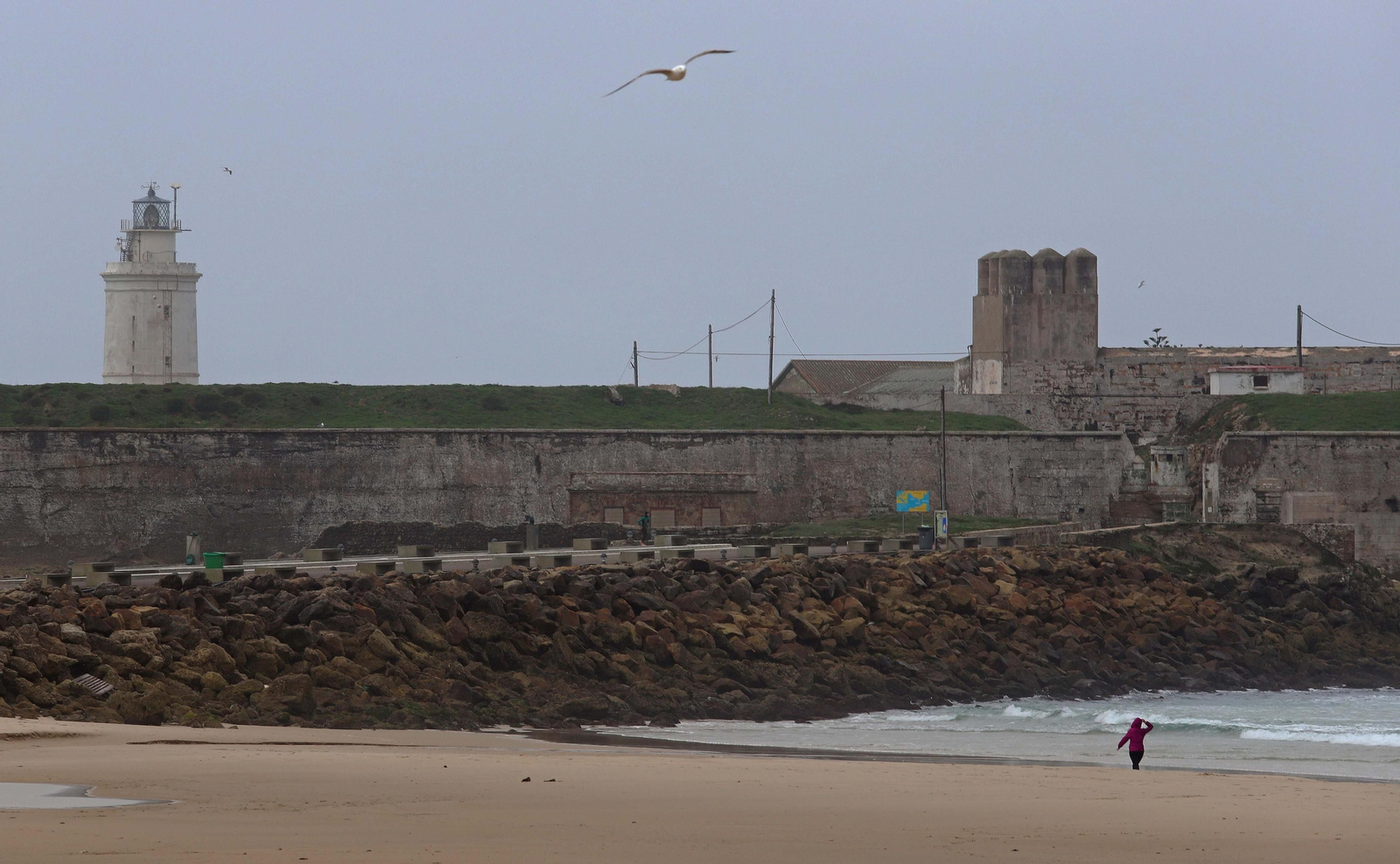 Fotos de la Isla de Tarifa y el parque natural del Estrecho