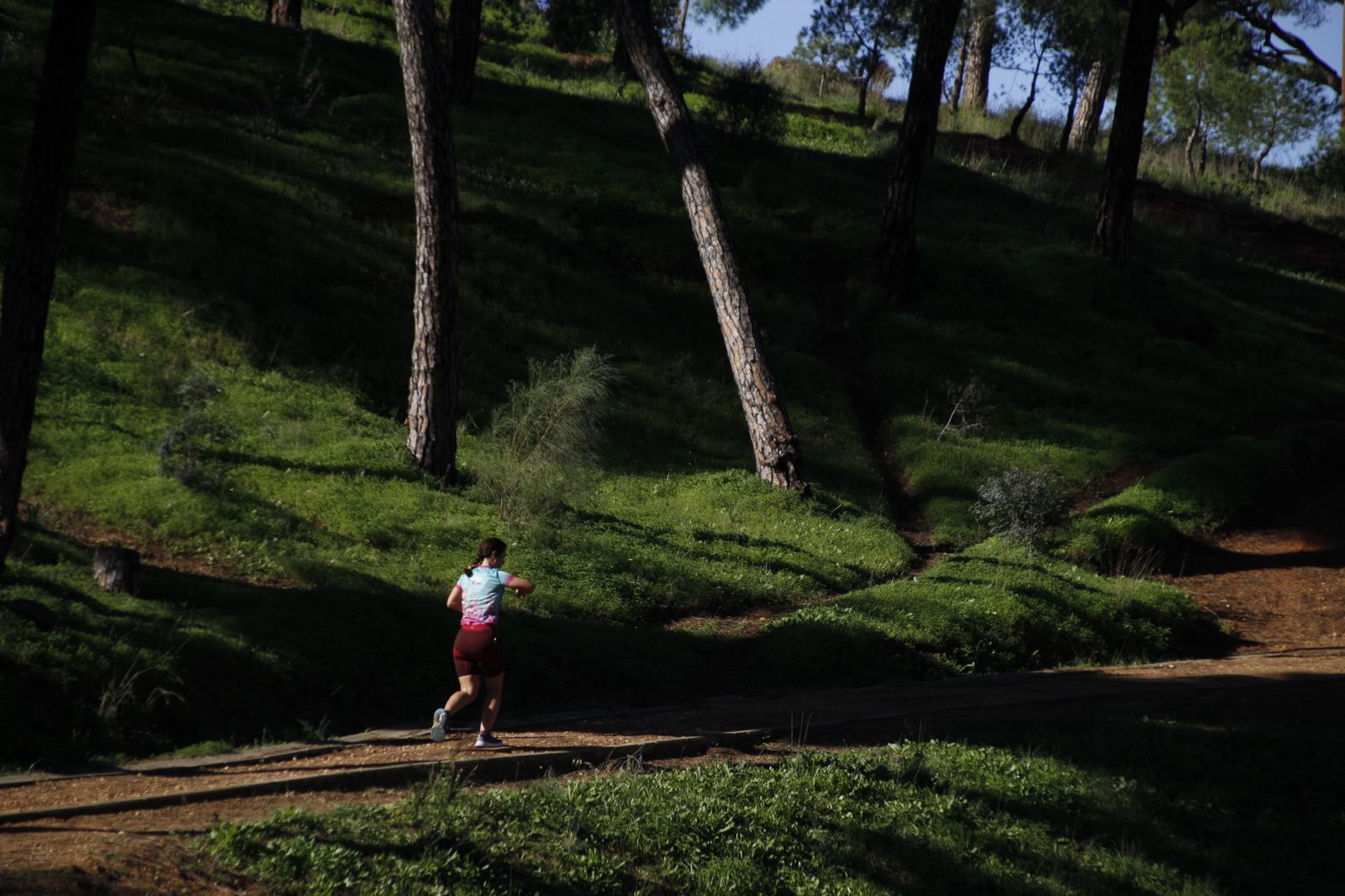 Imágenes del viernes 1 de diciembre