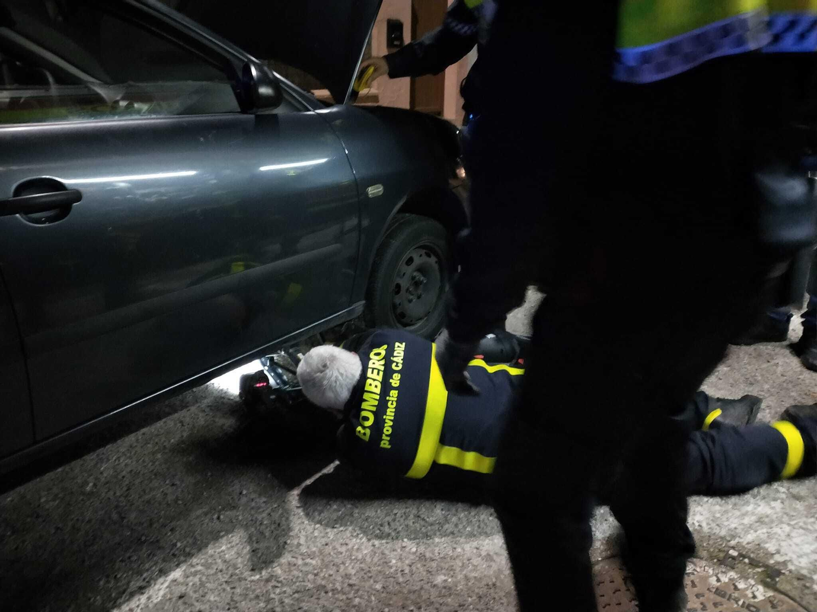 El rescate de la gata Ginger.