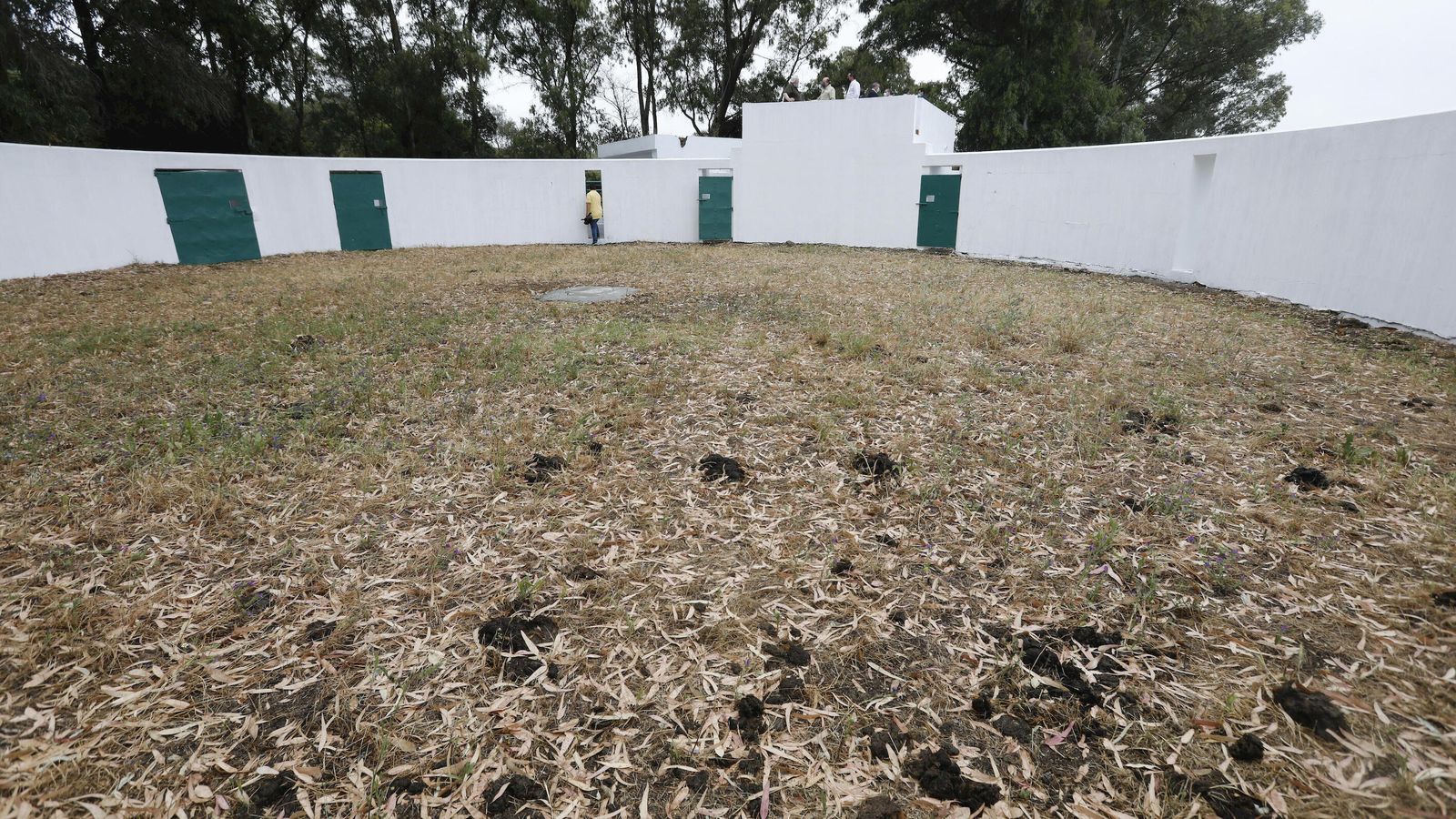 Interior del coso que servirá para agrupar al ganado.