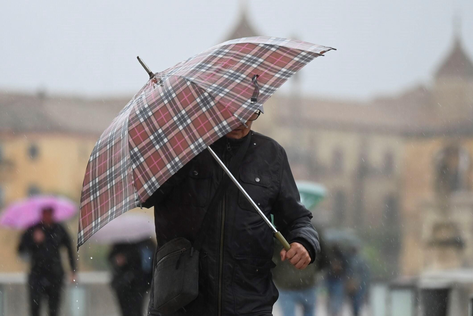 El paso de la borrasca Claudia por Córdoba en imágenes
