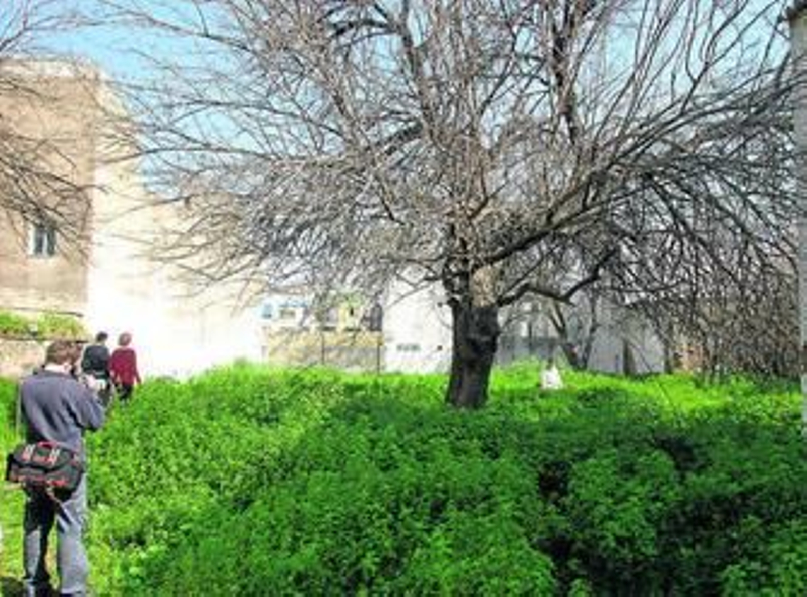 El Huerto del Rey Moro, en la calle Enladrillada.