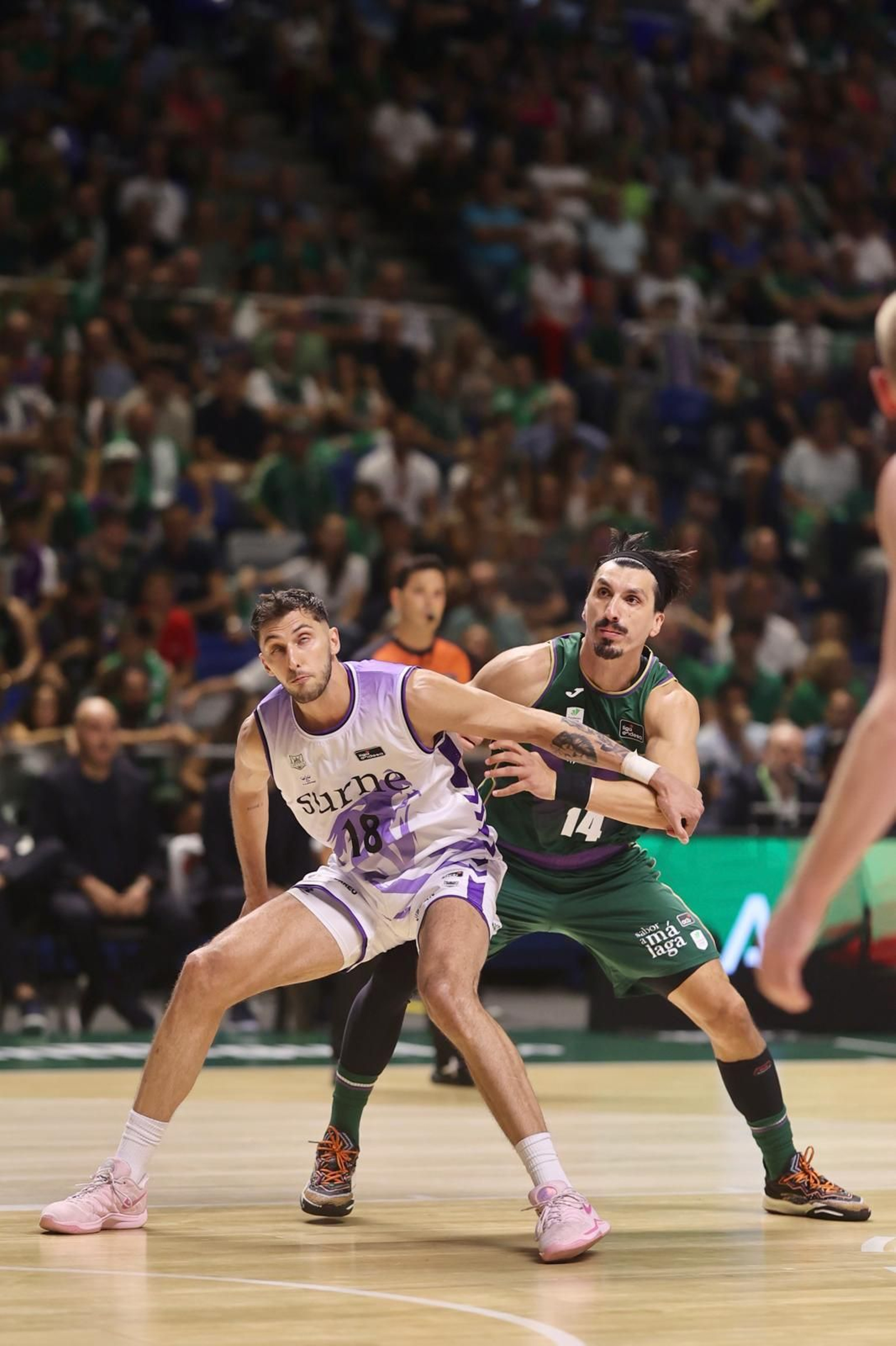 La fiesta por la Copa Intercontinental en el Carpena