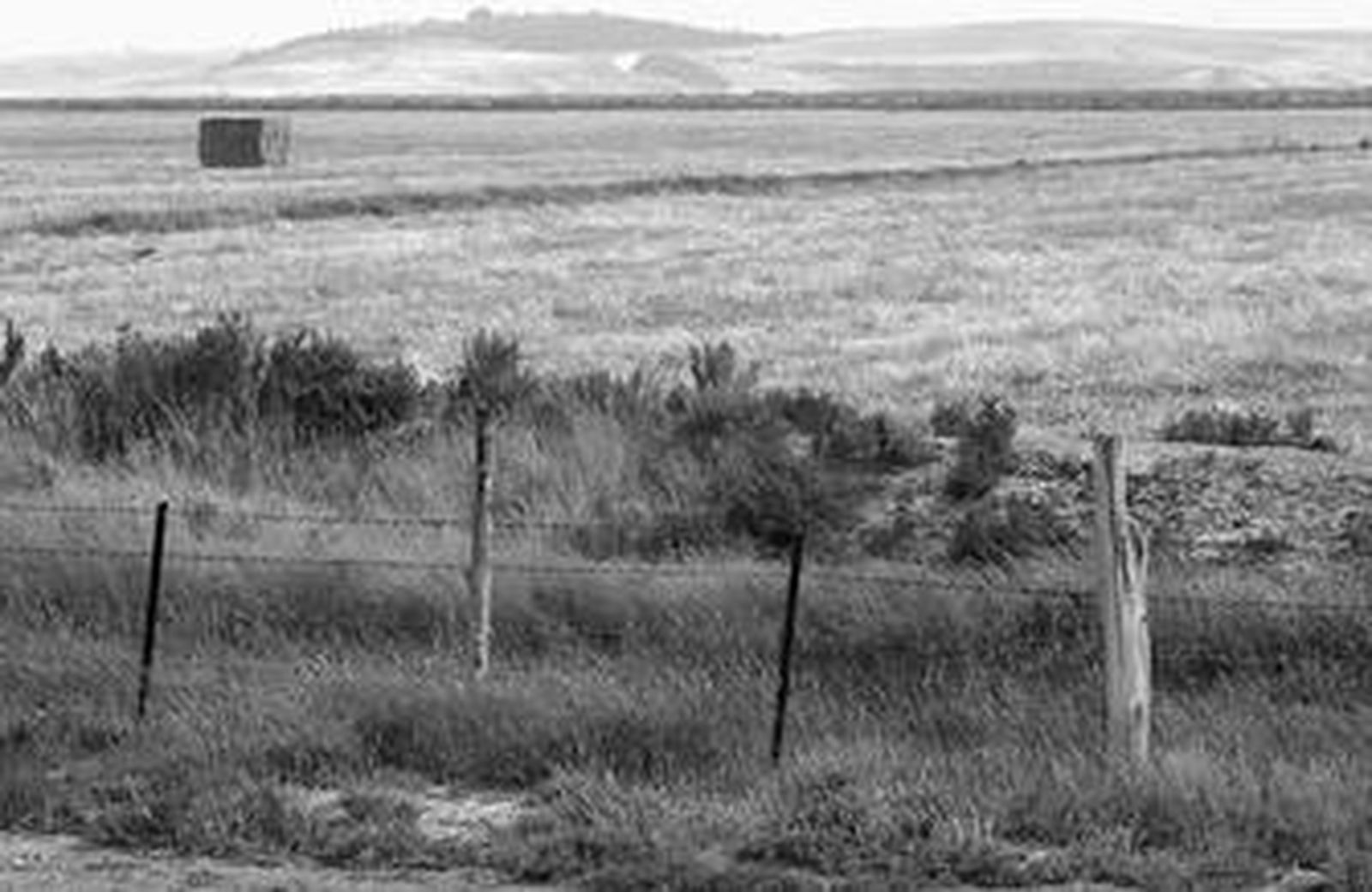 Terrenos de Gabela Honda, en Trebujena, en una imagen de archivo.