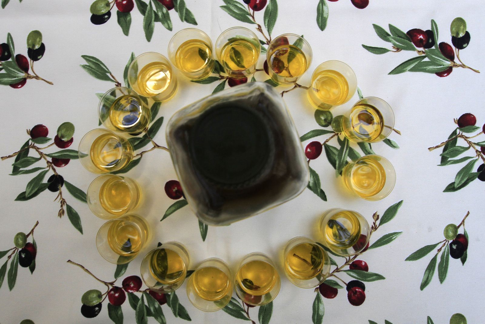 Muestras para una cata de aceite.