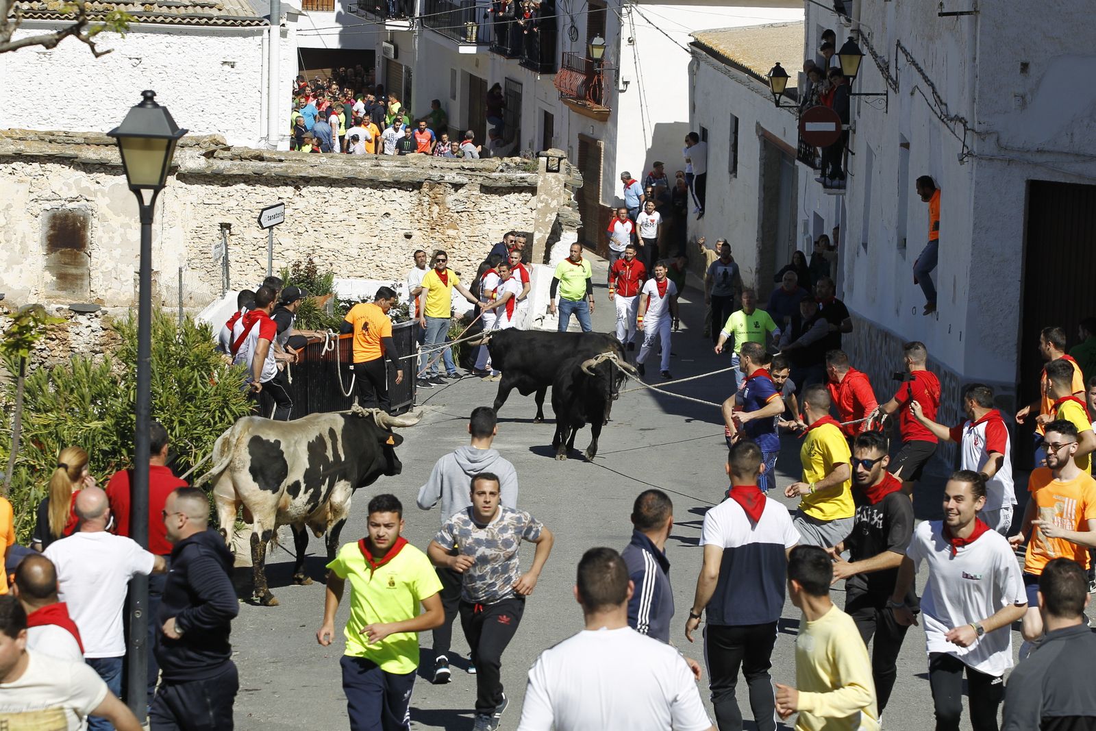 Fotogalería Tosos Ensogaos Ohanes. Fiestas San Marcos.