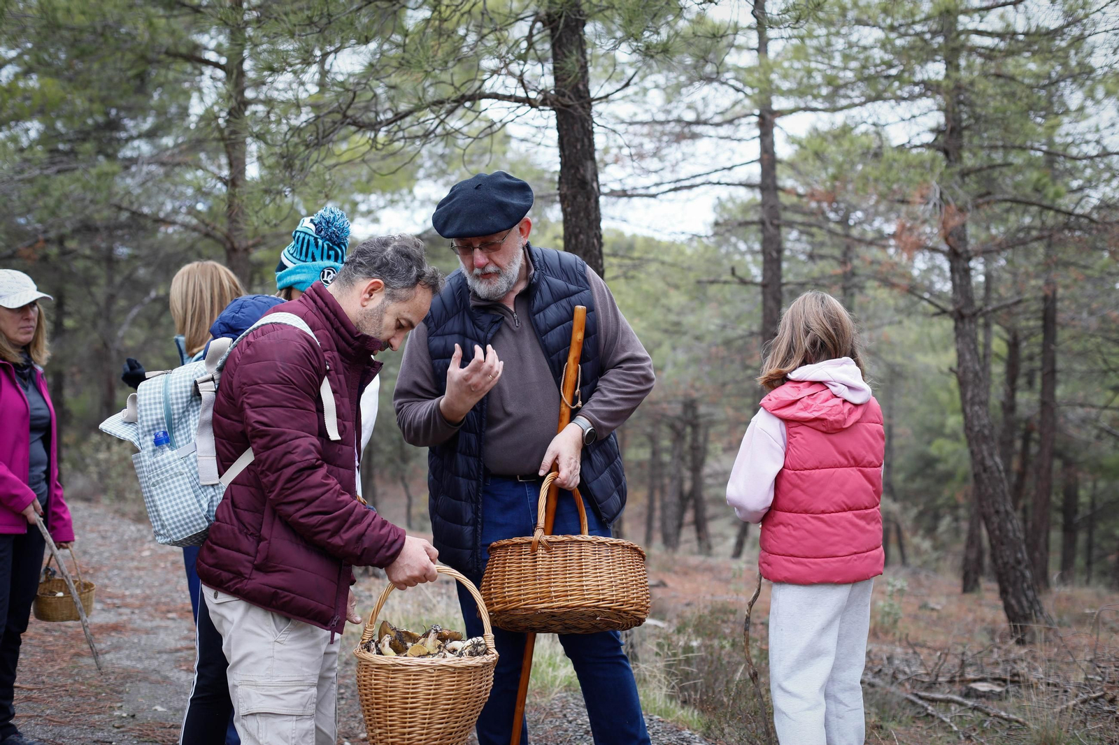 La ruta recolectora de setas en Abla por las XIX Jornadas Micológicas, en imágenes