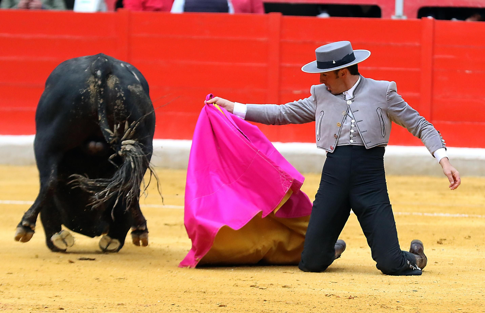 El Festival Taurino Granadown, en imágenes