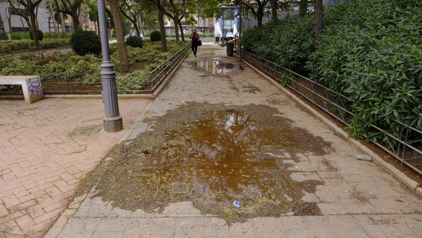 Fotogalería lluvia de barro en Almería