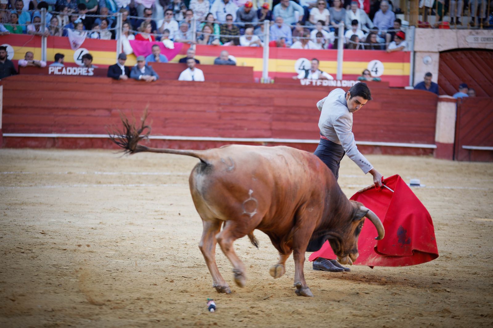 Imágenes del festival mixto lucha contra el cáncer