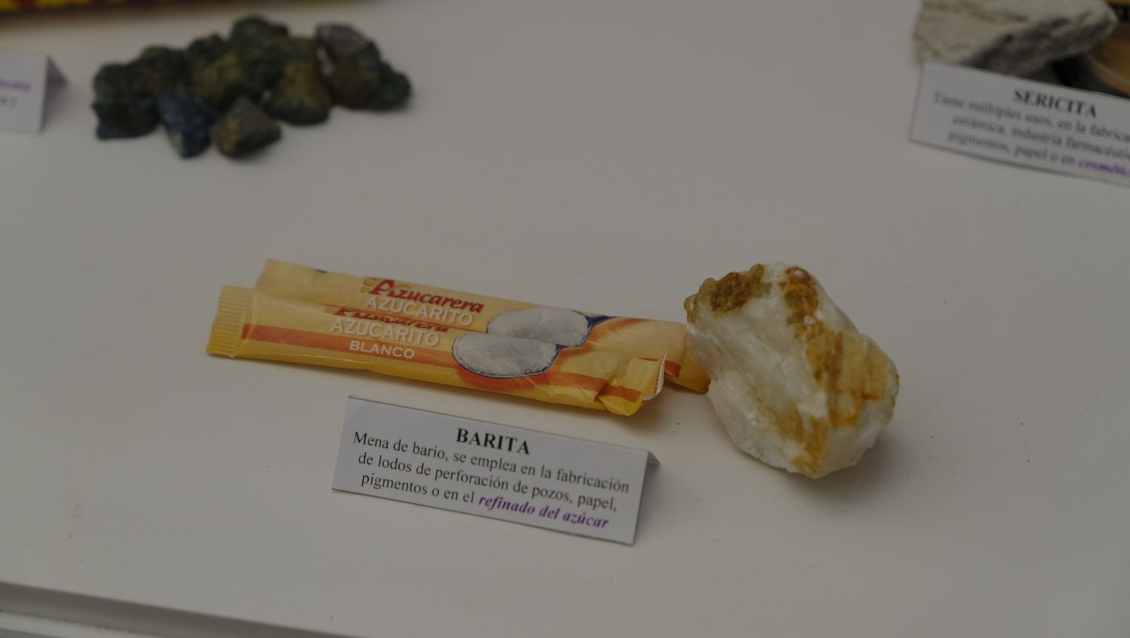 Las mejores imágenes del Pabellón de Historia Natural de la UAL