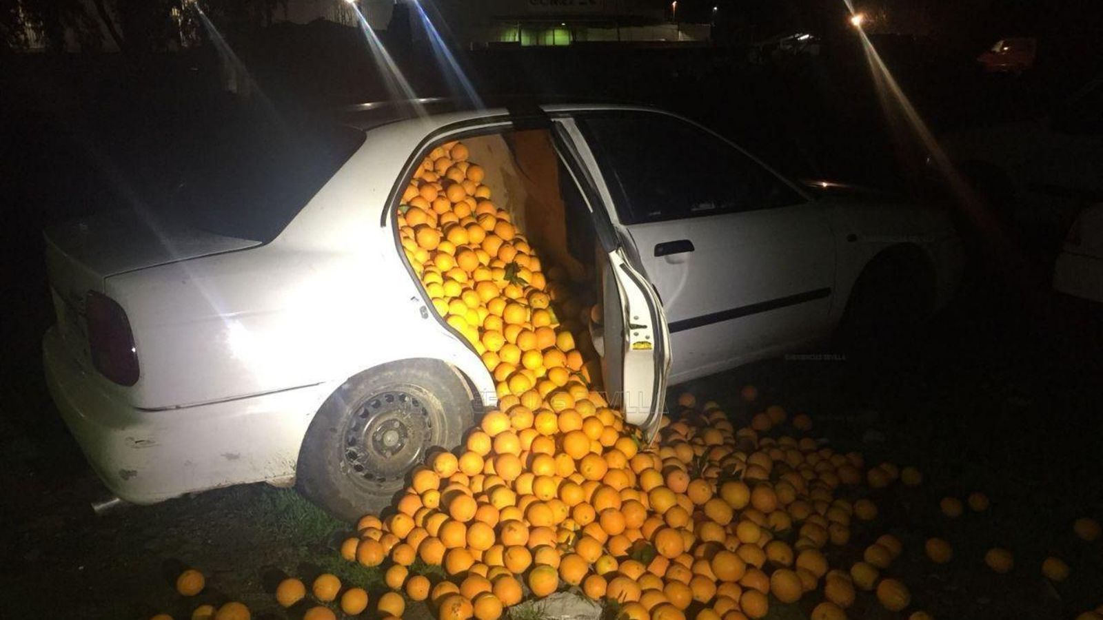 Las naranjas cargadas en un coche salen por la puerta lateral al ser abierta