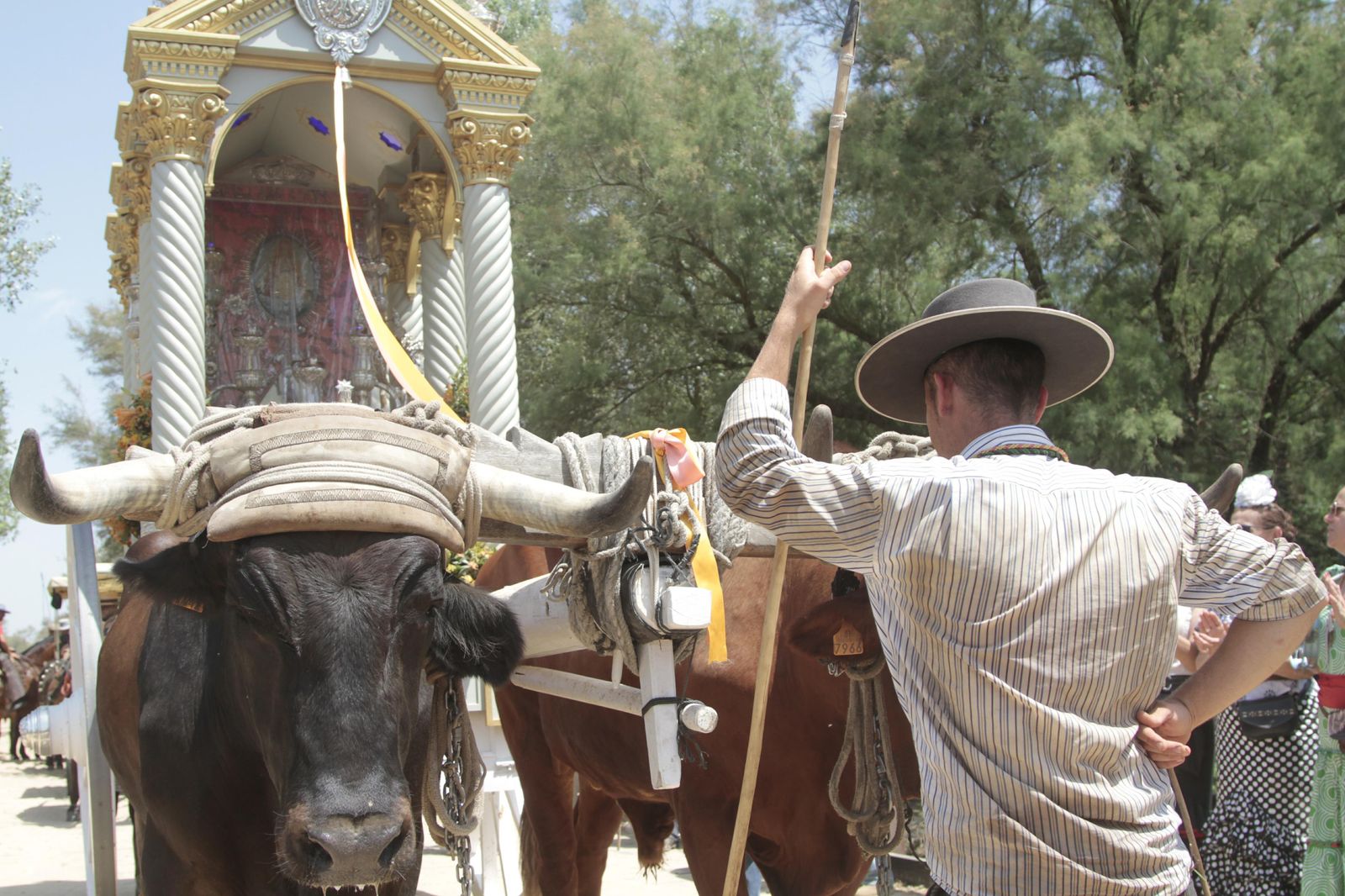 Las hermandades cruzando el puente del Ajolí, en imágenes
