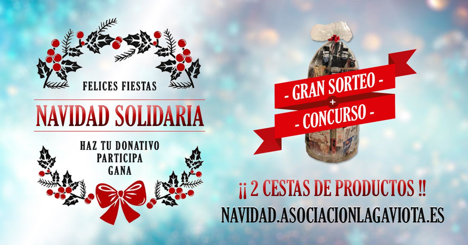 La asociación La Gaviota organiza el sorteo para recaudar fondos.
