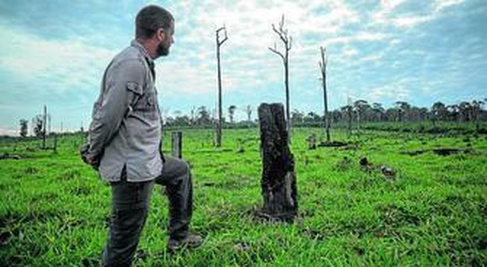 David Beriain otea un bosque talado, víctima de los madereros clandestinos, en la Cuenca del Amazonas .