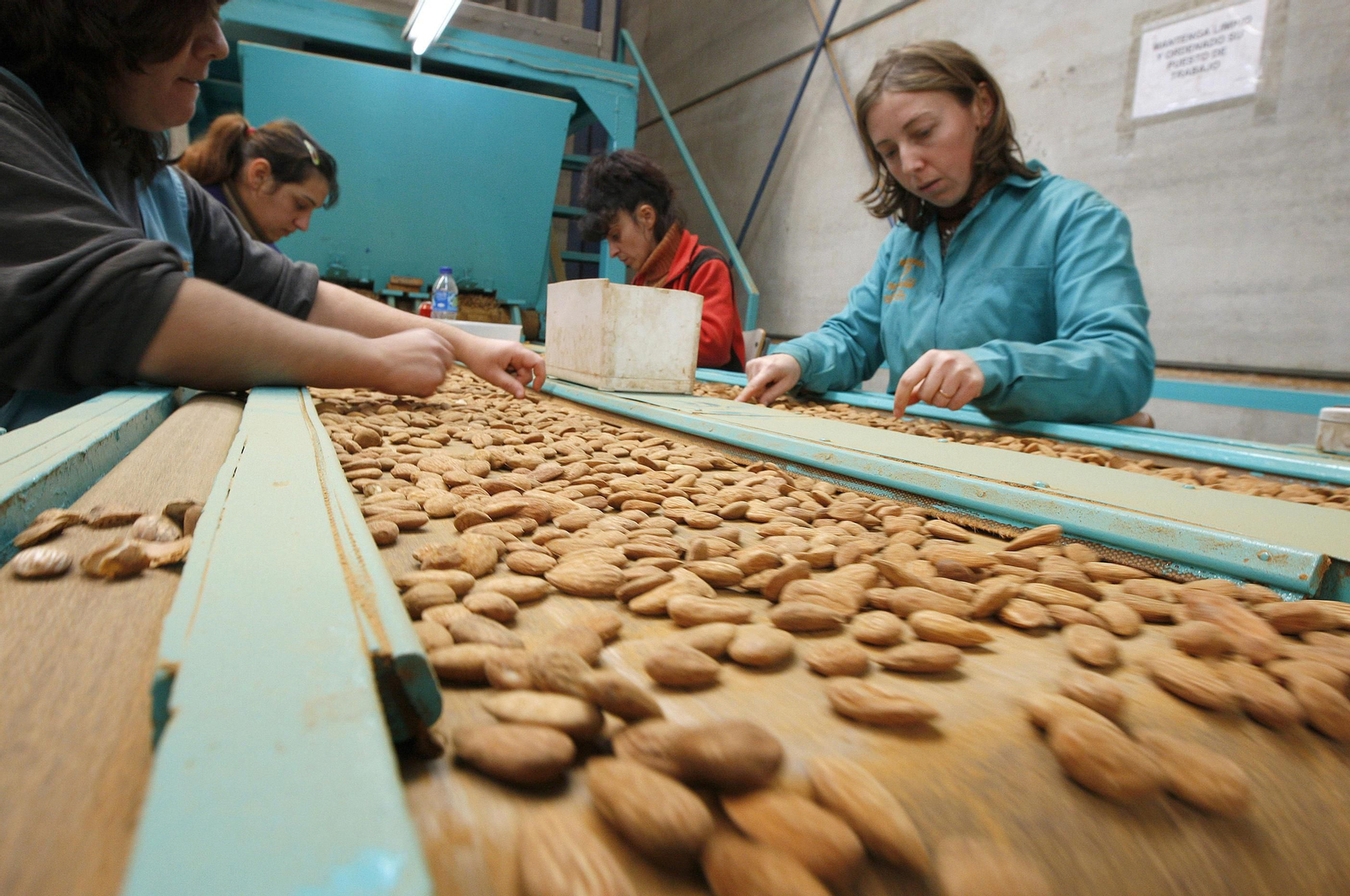 Selección de almendras