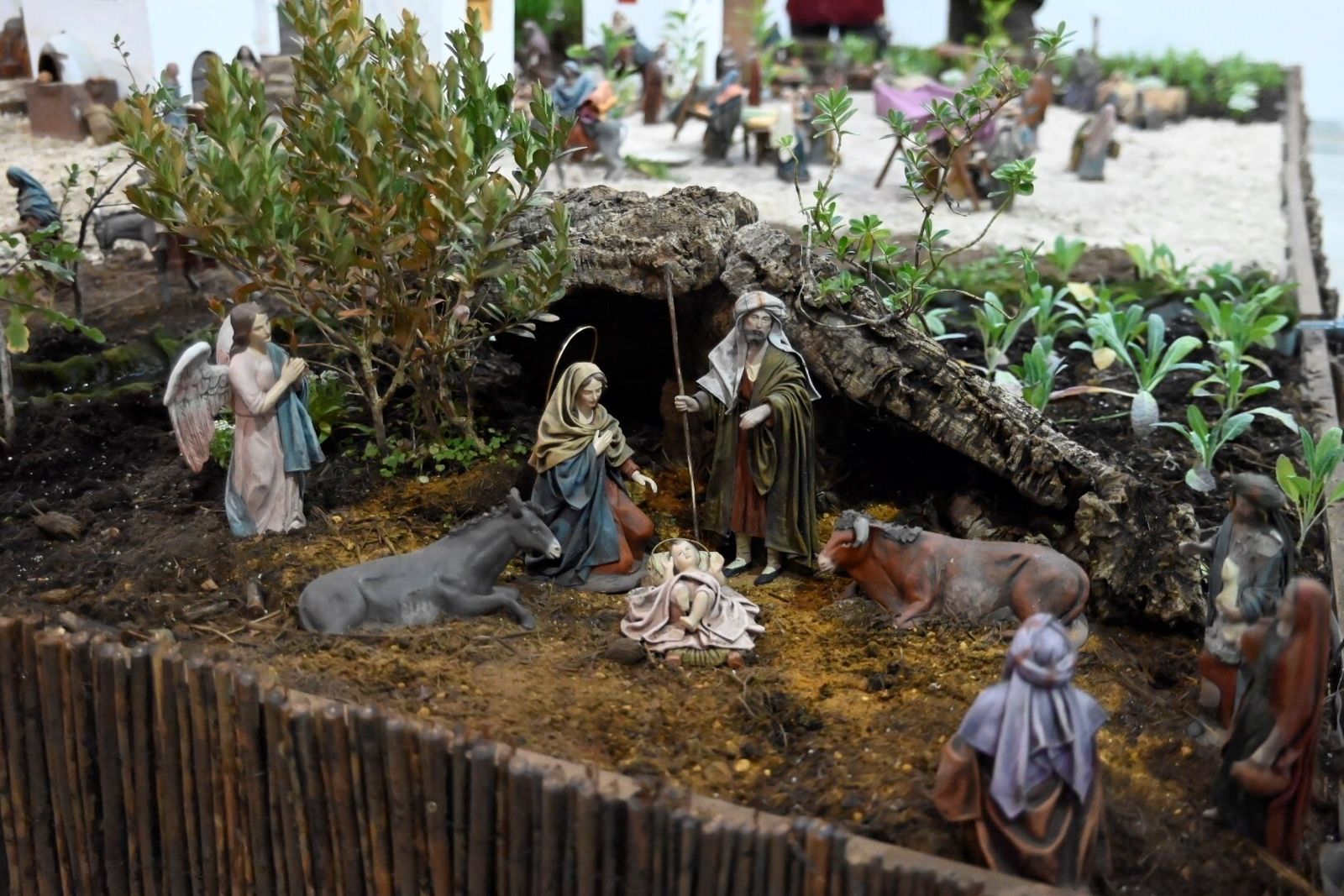 El belén del Jardín Botánico de Córdoba, en imágenes