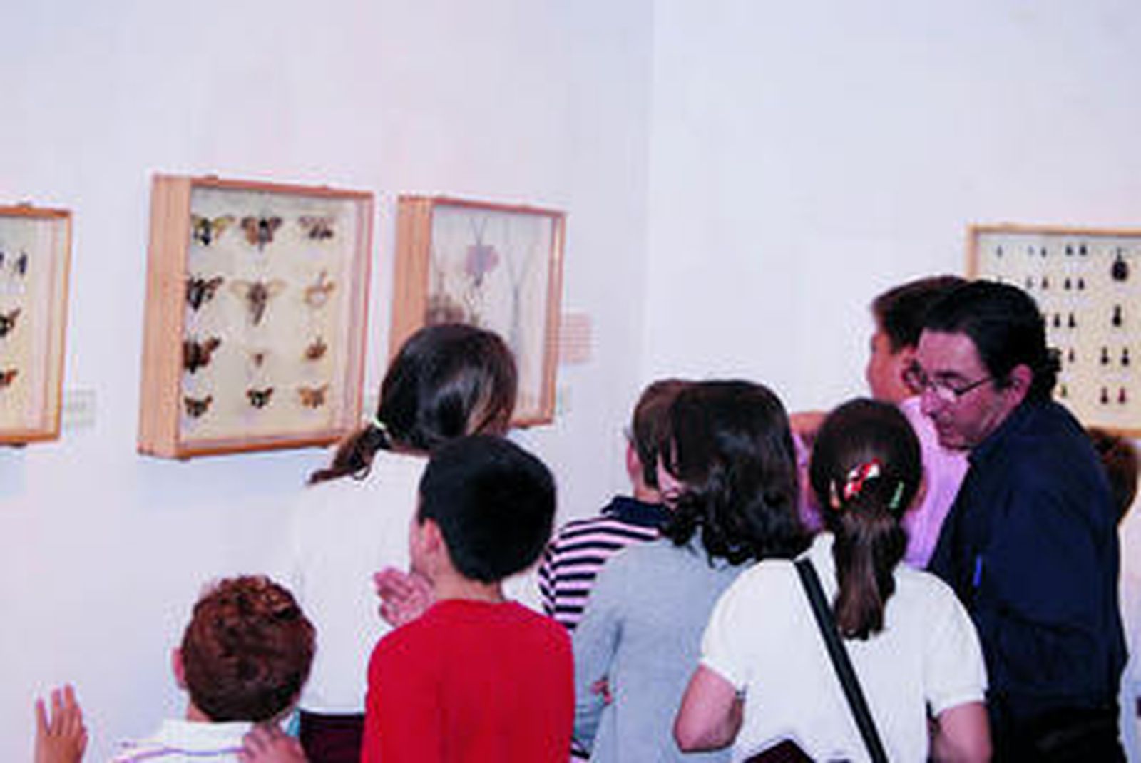 Una visita al reino de los insectos