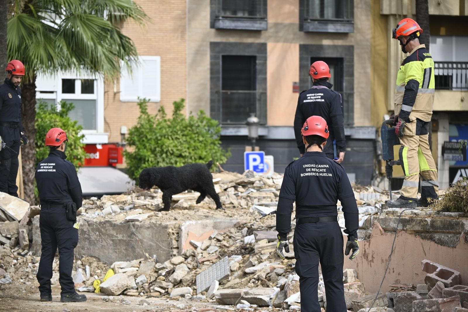 Simulacro de rescate de la Unidad Canina, en la Plaza de la Merced