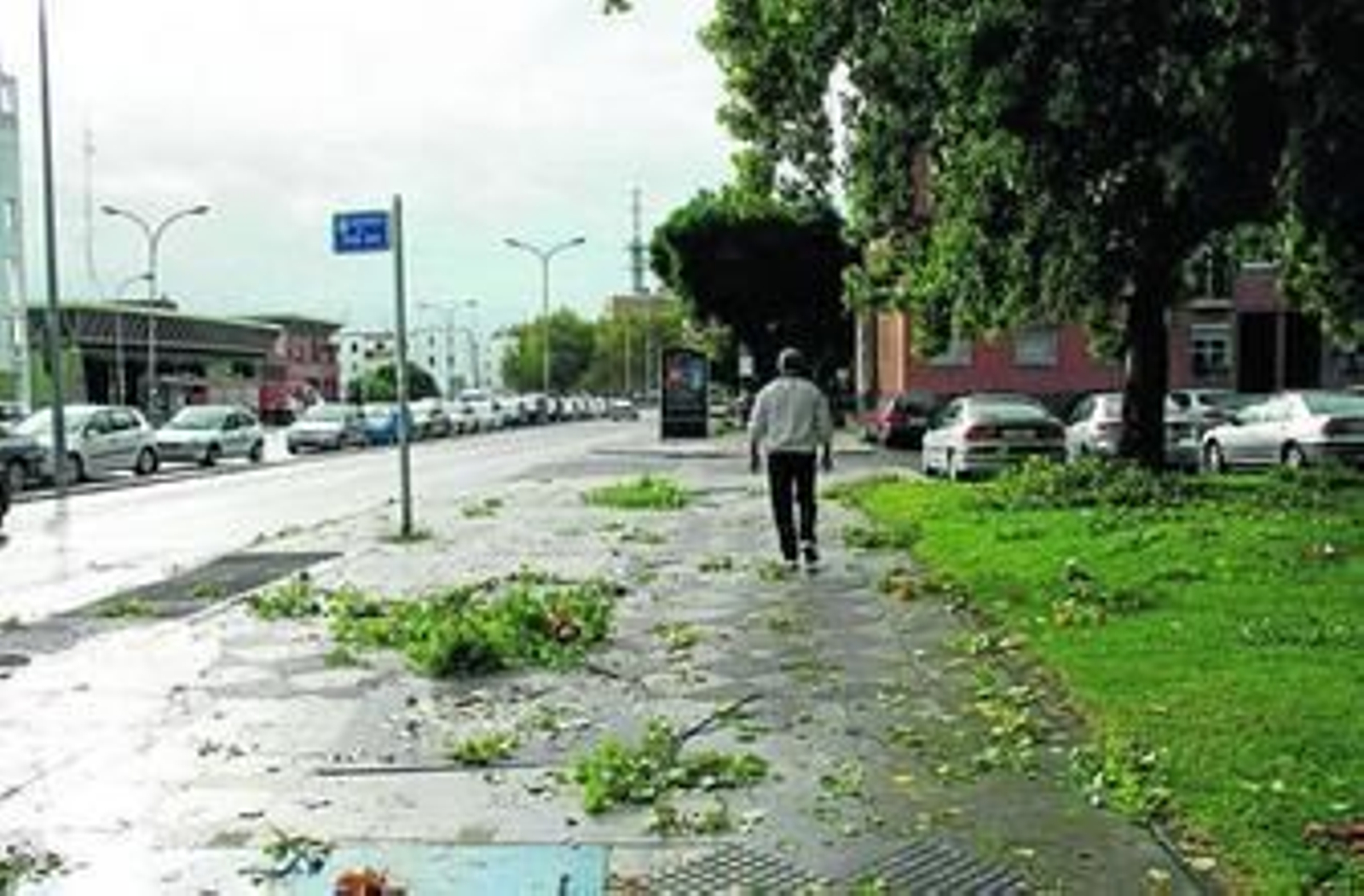 Imagen a primera hora de la mañana del lunes de la Avenida Pío XII de Huelva, llena de ramas arrancadas.
