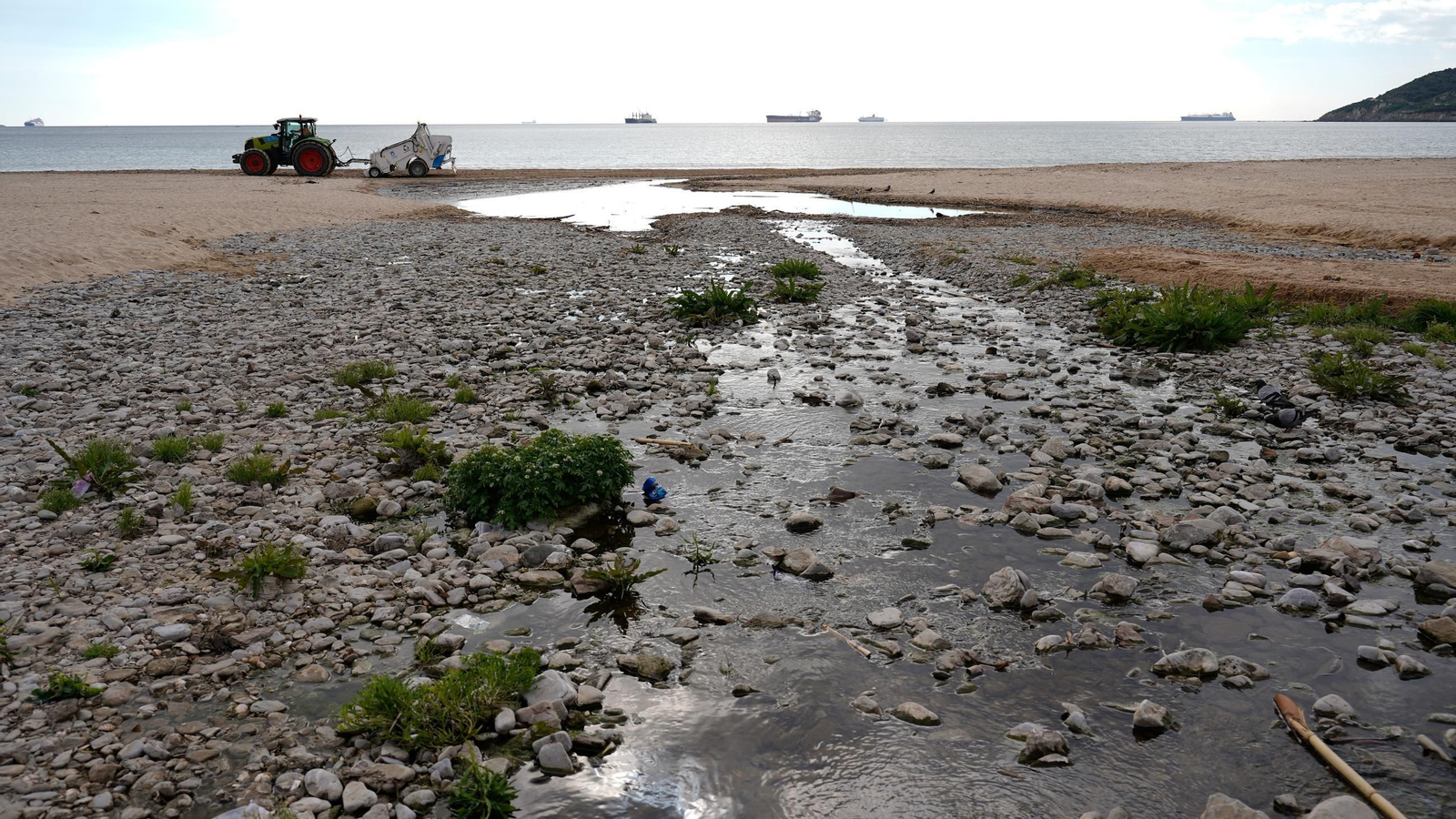 Fotos de la playa de Getares llena de cañas y desechos