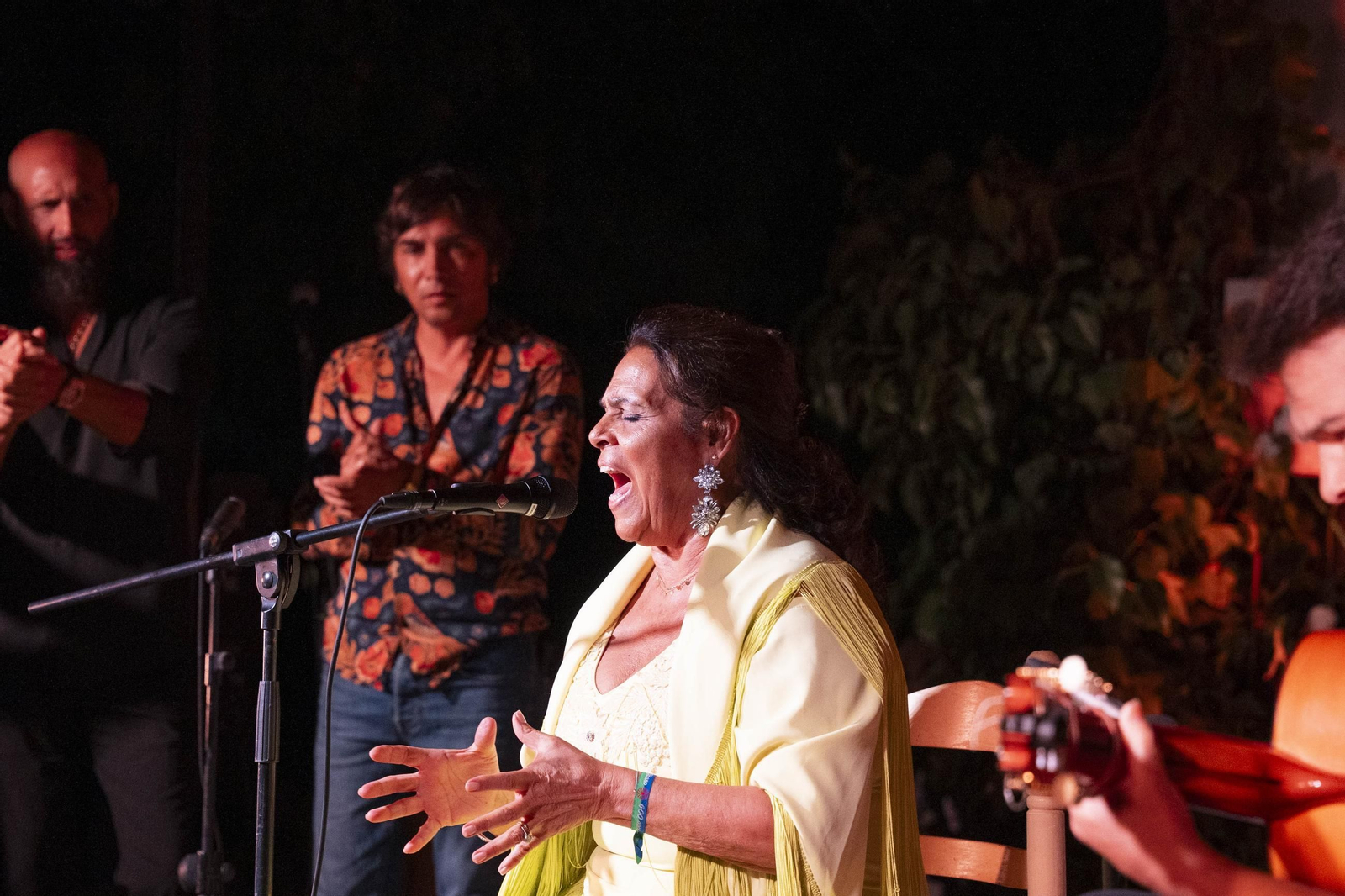 Las mejores imágenes del Festival de Flamenco en Fondón