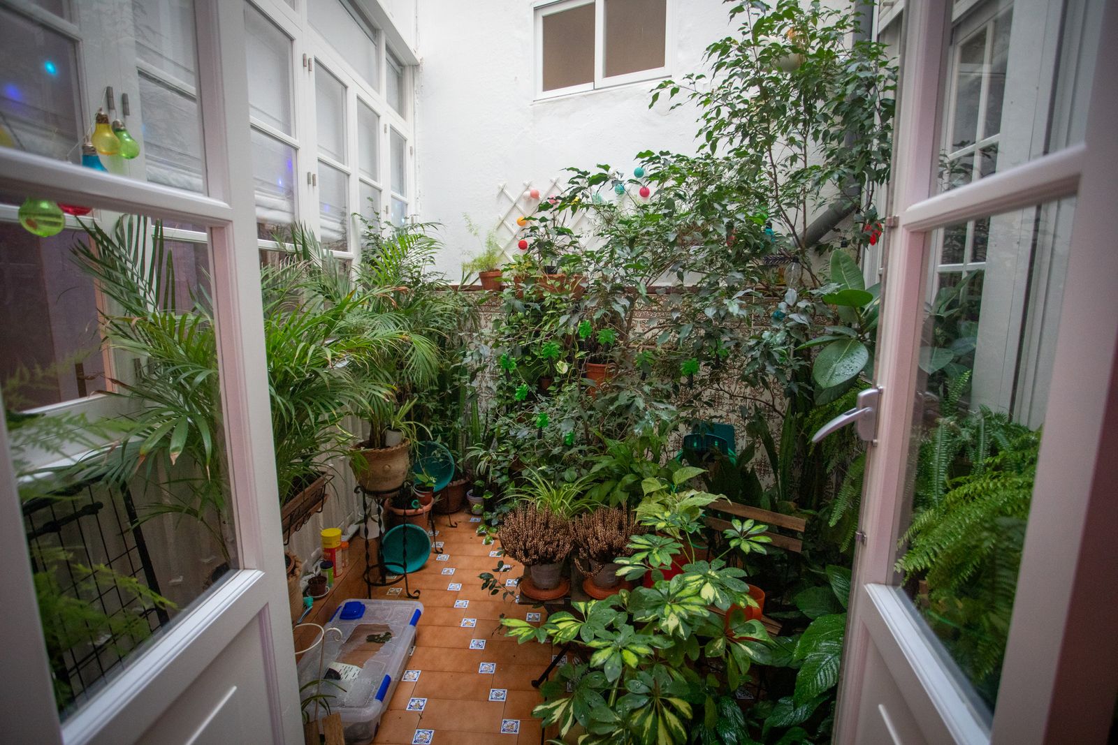 Las imágenes de la vivienda de Alberto Romero y Yolanda Vallejo