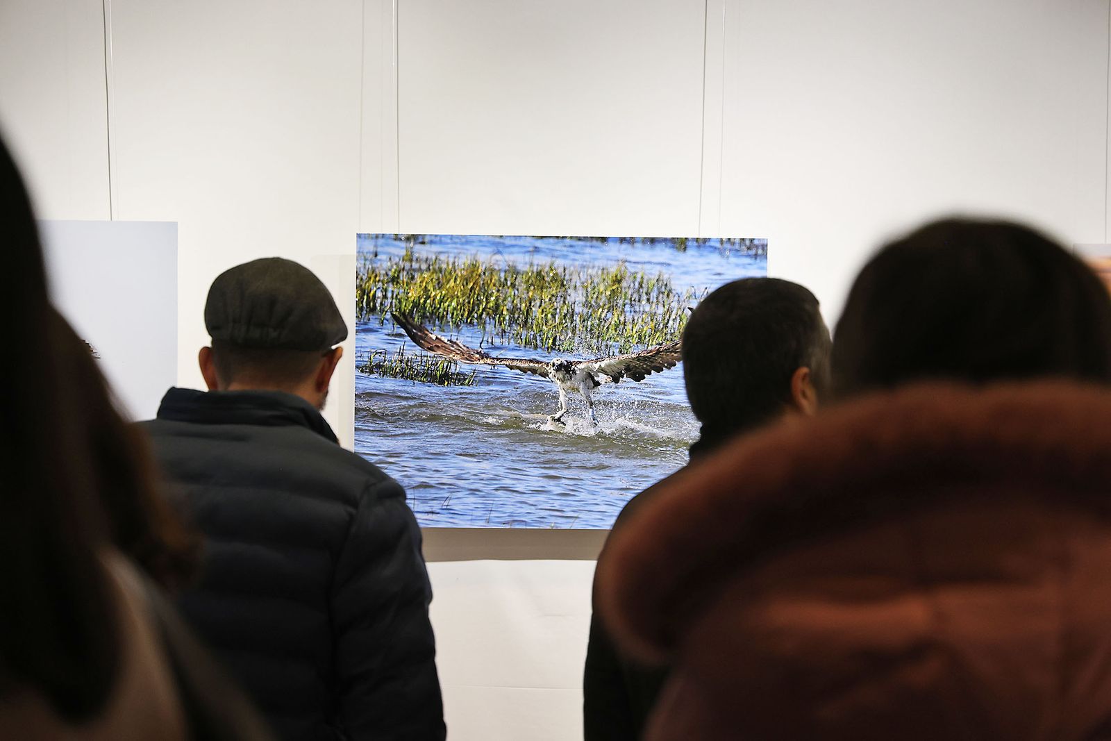Exposición del Concurso de Fotografía 'Alas del Odiel'