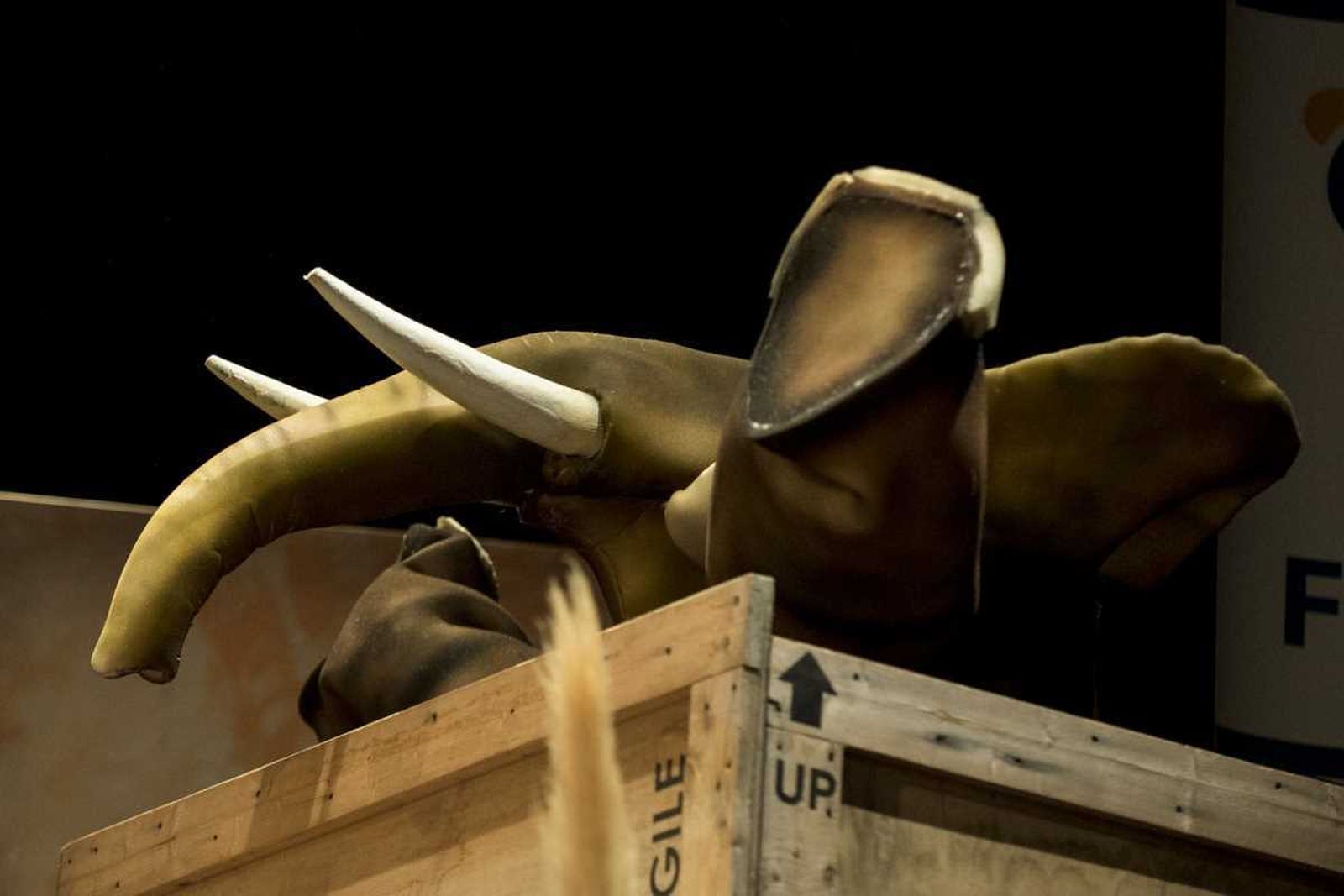 Las imágenes de la primera función de cuartos