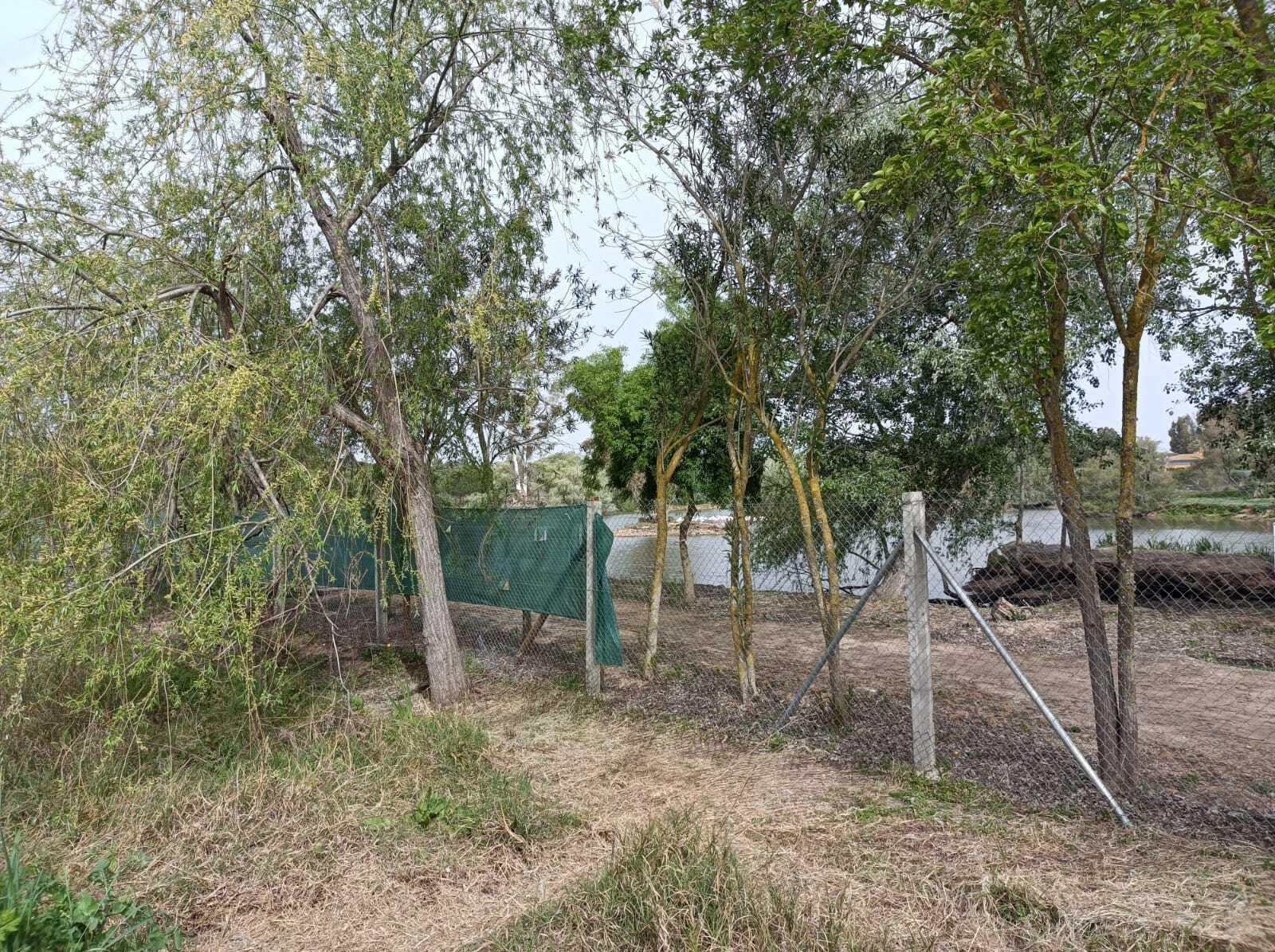 Al poco de empezar, pasaremos junto a una valla desde la que se puede ver el humedal mayor