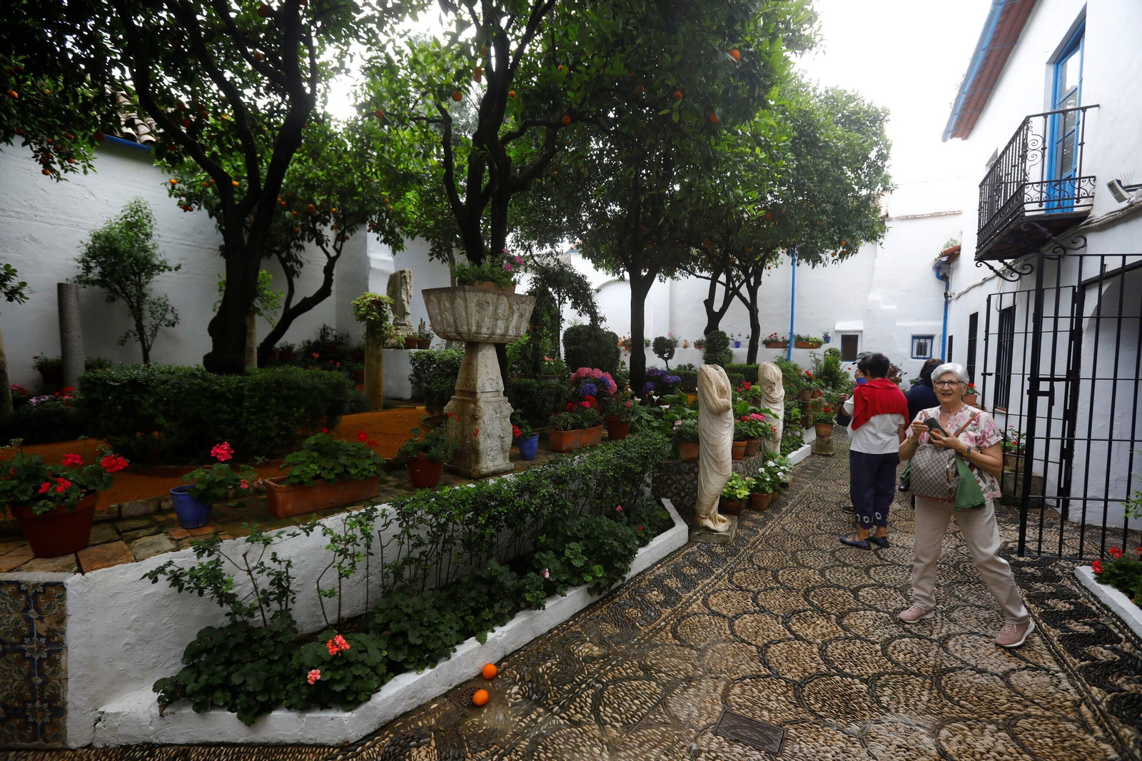 Los patios de Córdoba de la ruta Judería-San Francisco, en imágenes