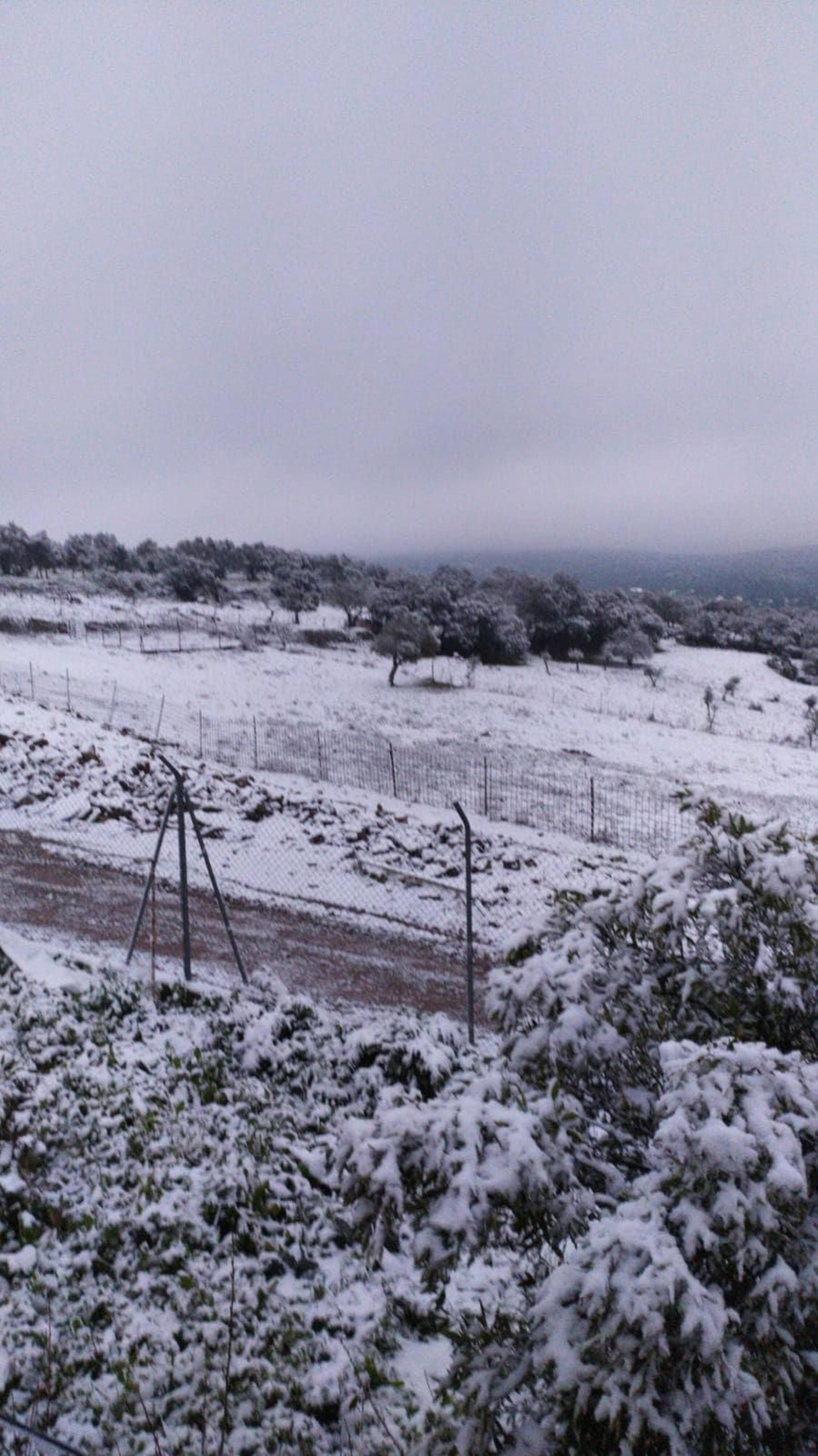 Cumbres de San Bartolomé.
