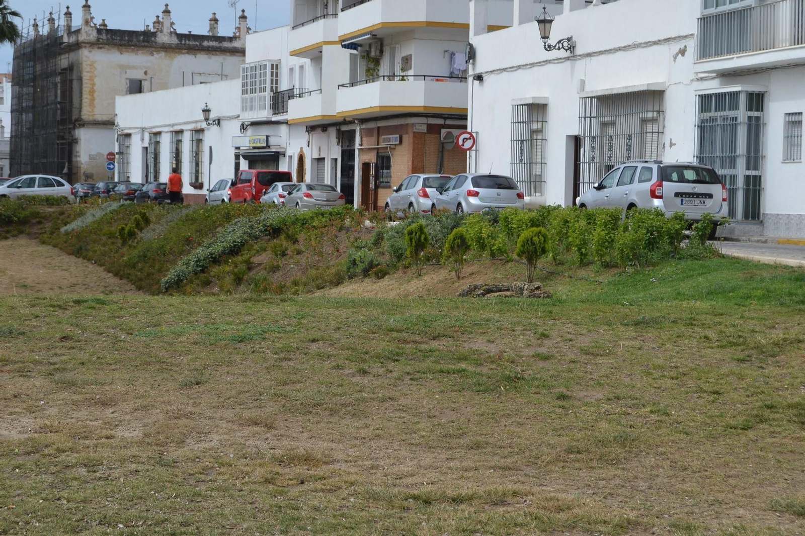 Talud donde crecen algunas de las plantas donadas por Diputación.