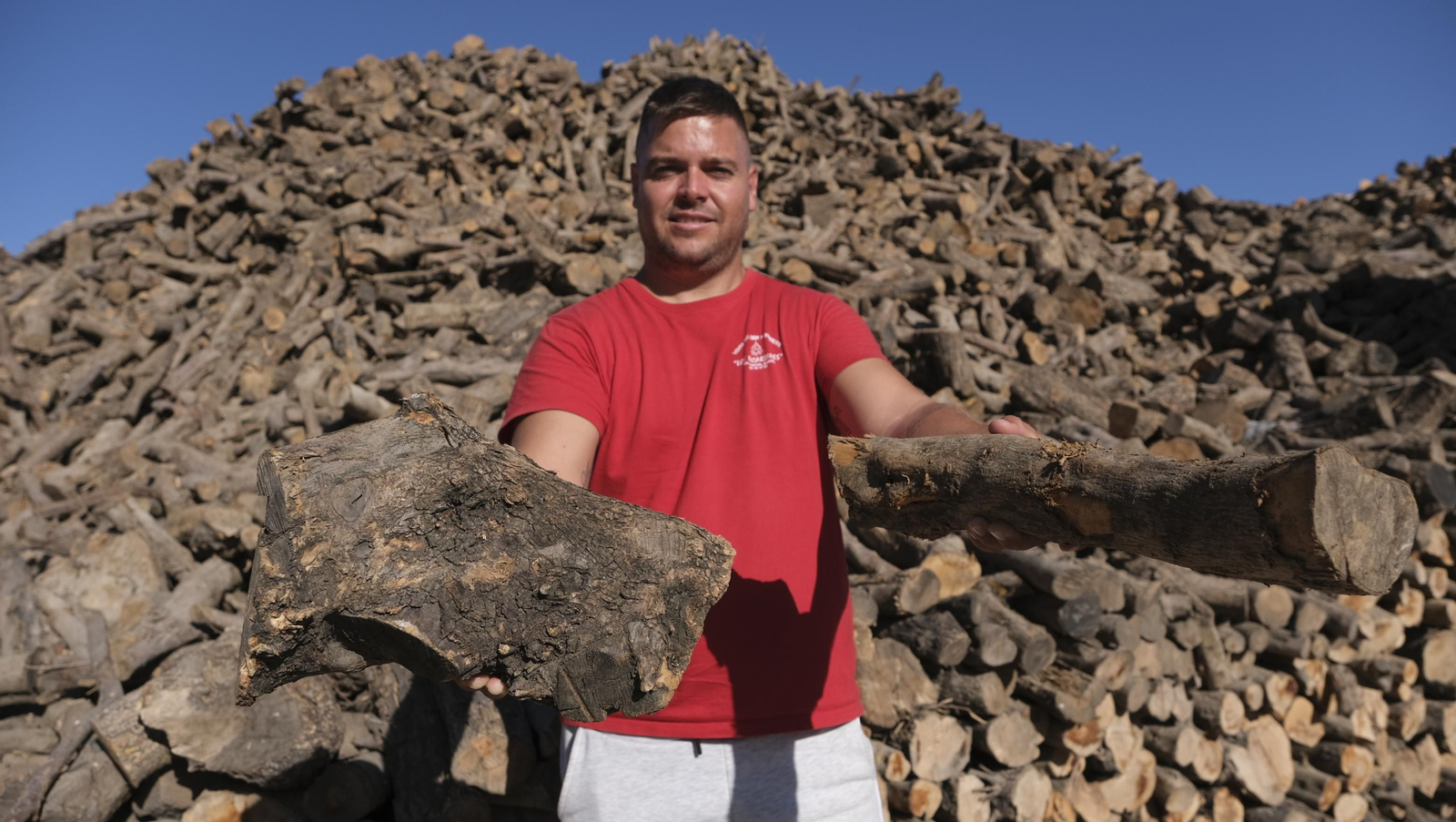 Juan muestra la leña que vende a sus clientes: olivo y encina.