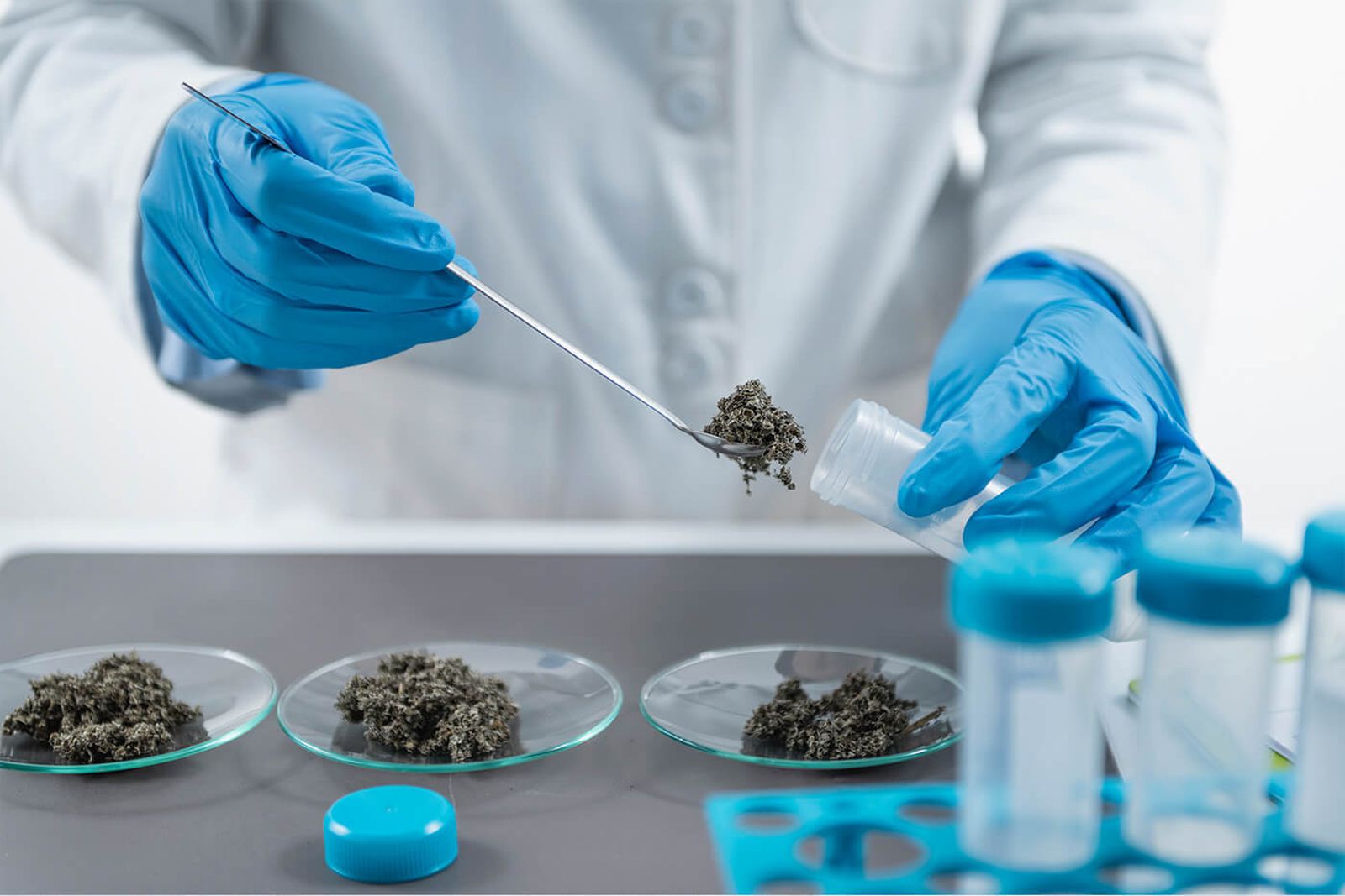 Durbán Agroline cuenta con el Know-how del proceso productivo de la industria agroalimentaria.